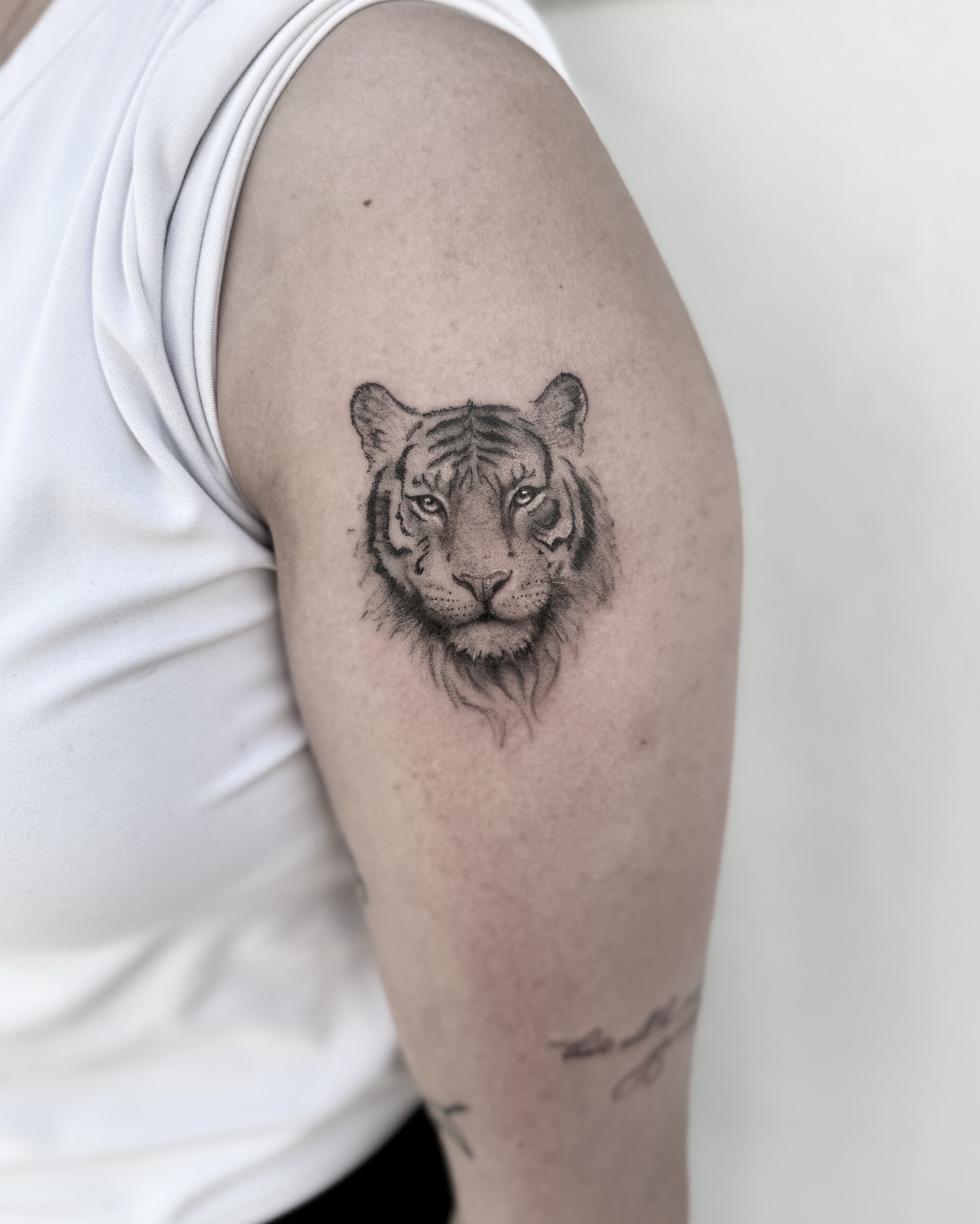 Tiger realism tattoo on the upper arm by Raleigh tattoo artist, Raleigh, North Carolina