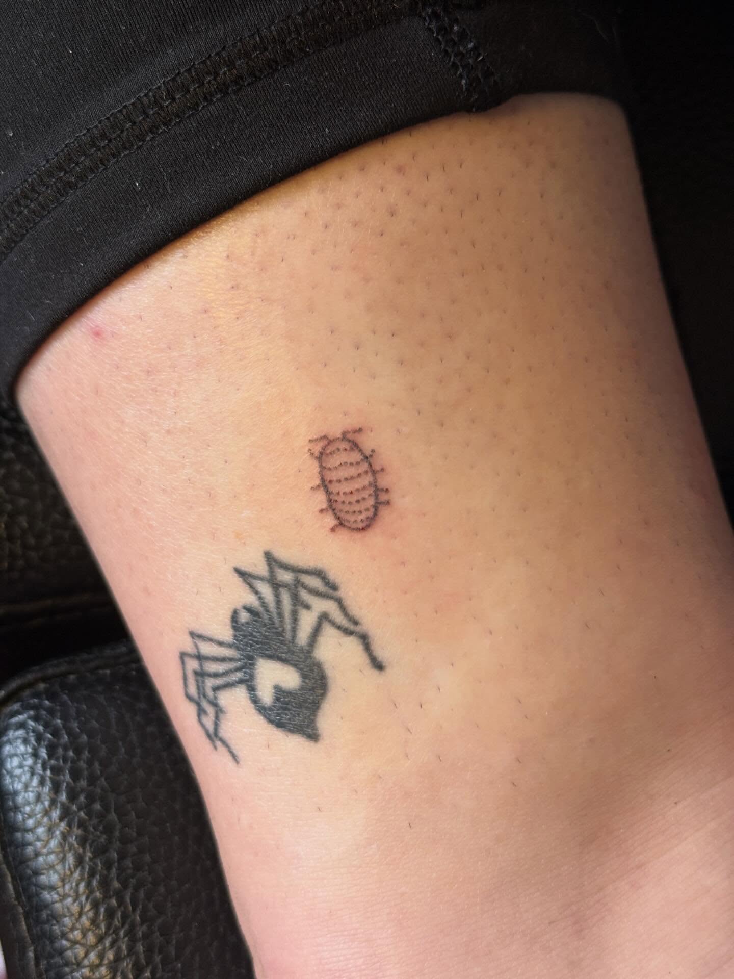 Spider and beetle black and grey tattoo on the forearm by springgreens