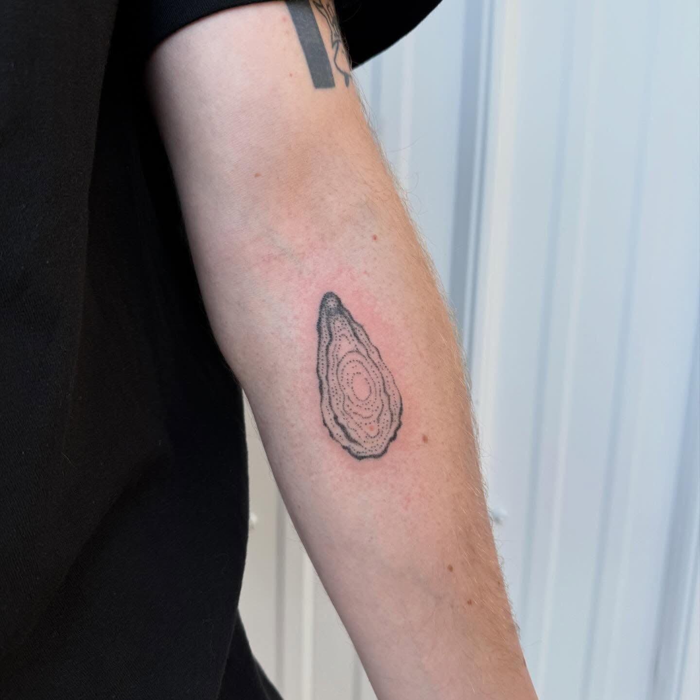 Tree ring dotwork tattoo on the forearm by springgreens