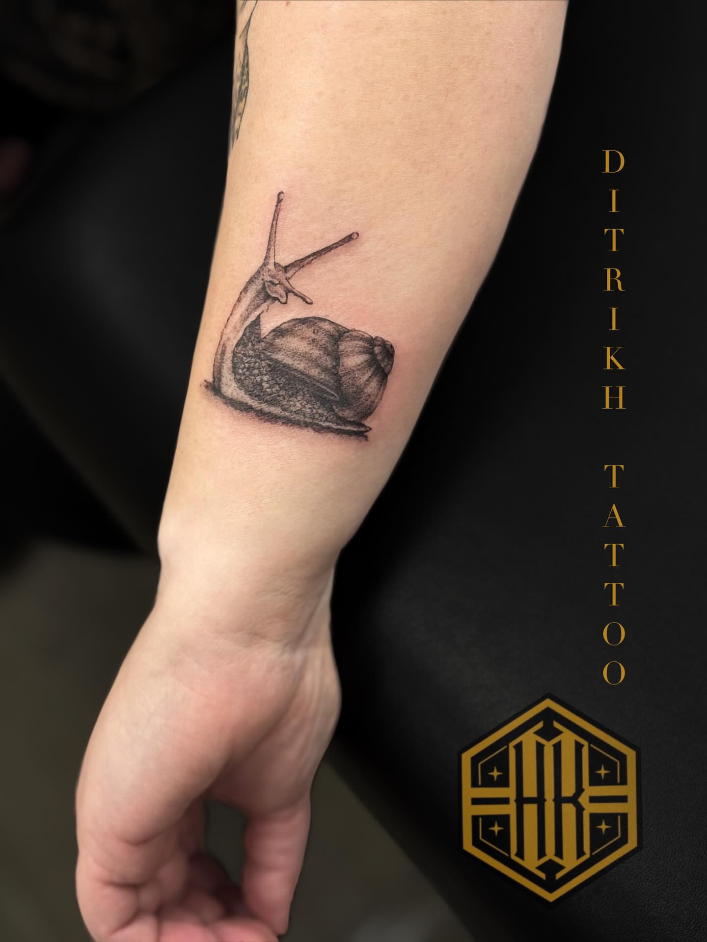Snail realism tattoo on the forearm by KET, Calgary, Alberta