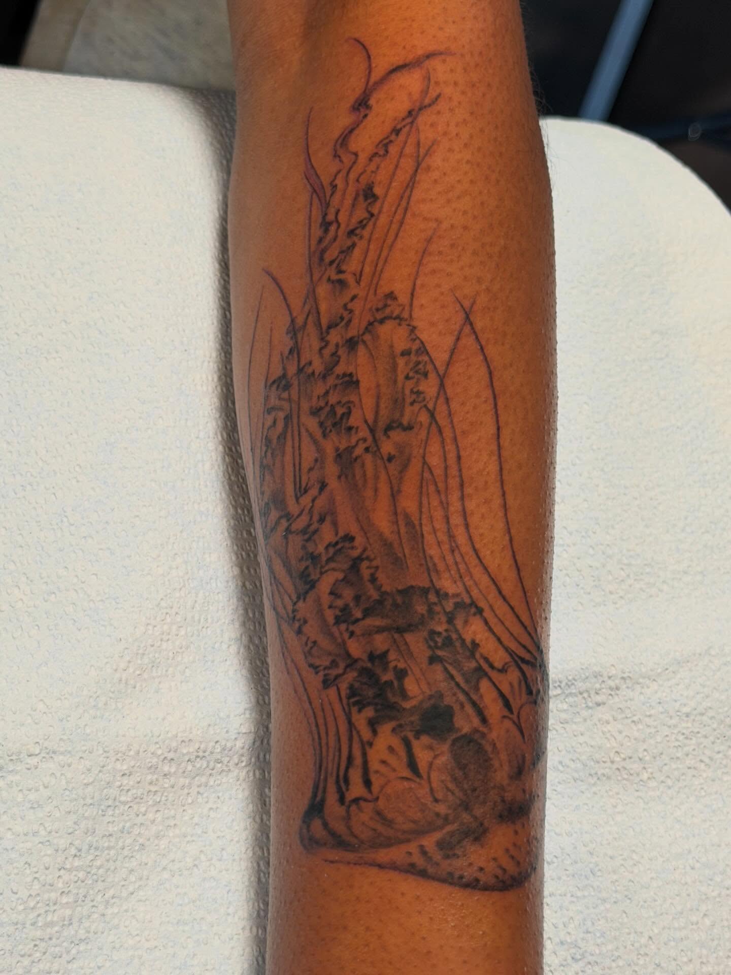 Landscape realism tattoo on the forearm by James Nelson