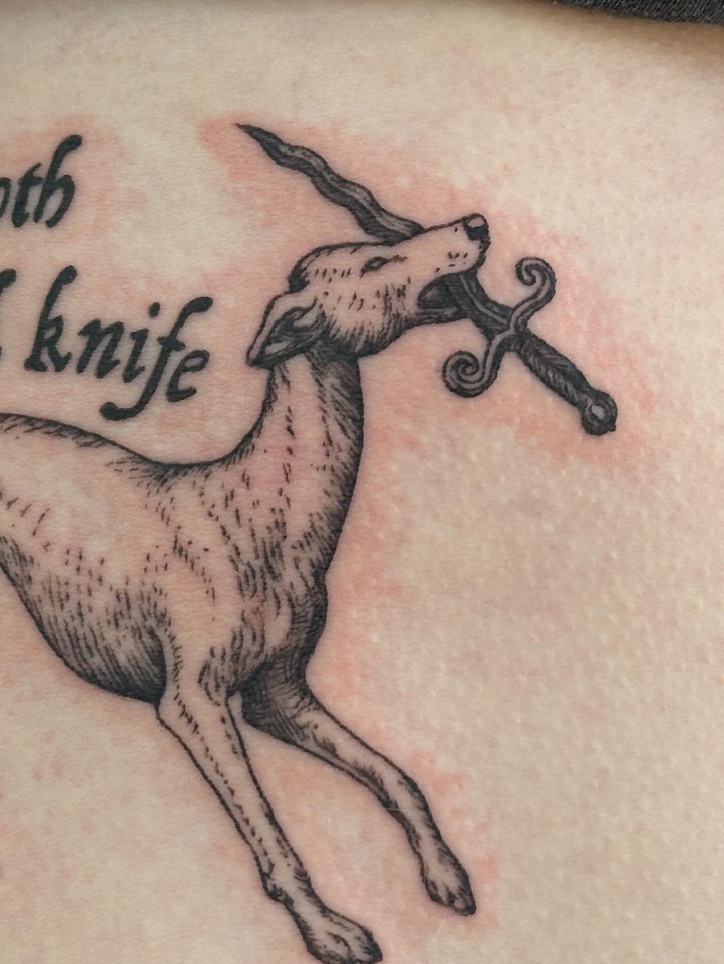 Dog biting knife black and grey tattoo on the upper arm by gabrielle rosemary ποΈ