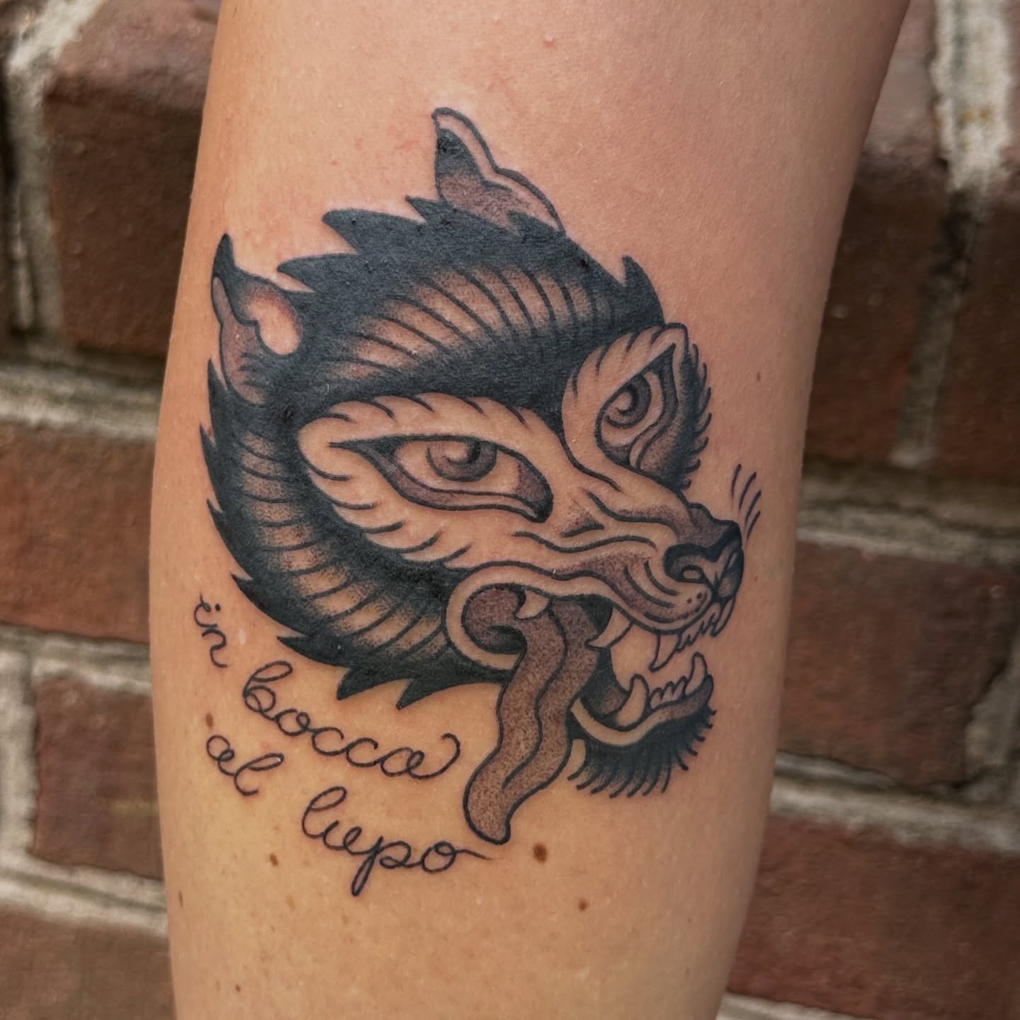 Wolf head American traditional tattoo on the forearm by kira