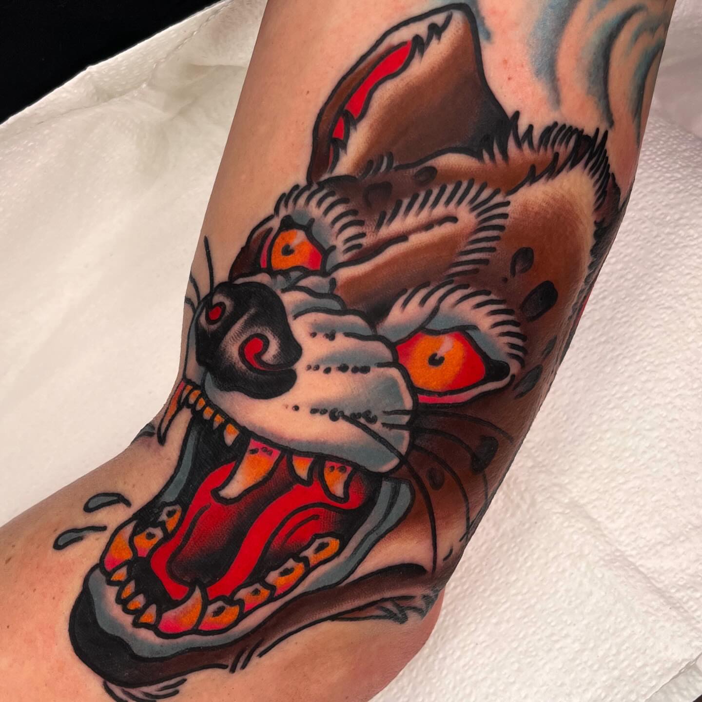 Angry cat American traditional tattoo on the forearm by Sky G, Colorado Springs, Colorado