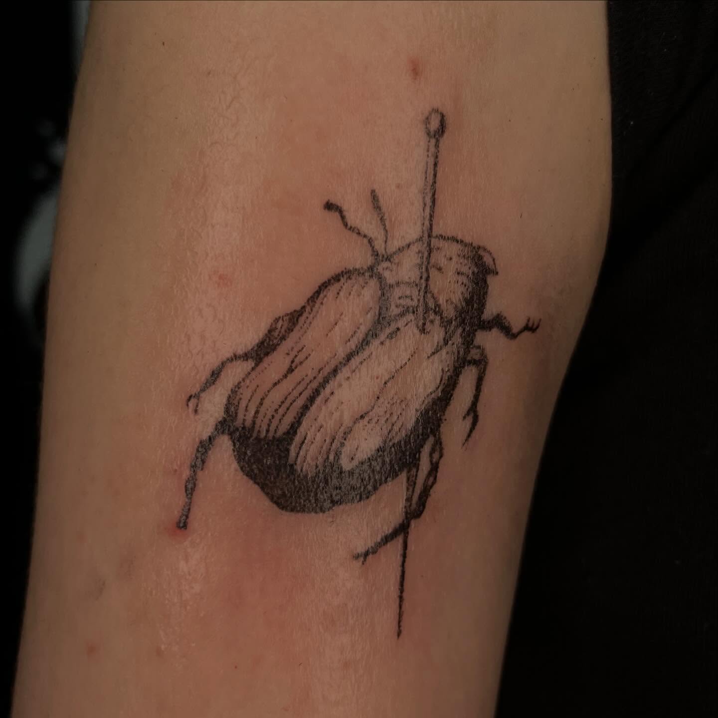 Beetle black and grey tattoo on the forearm by ⁎⁺˳✧༚Emma