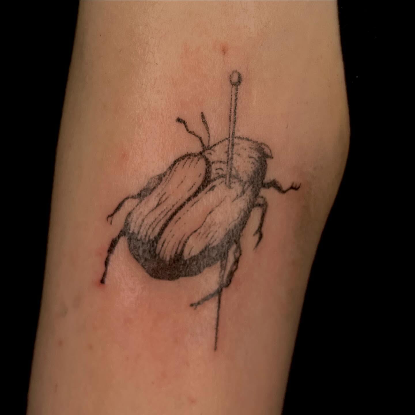 Beetle black and grey tattoo on the forearm by ⁎⁺˳✧༚Emma