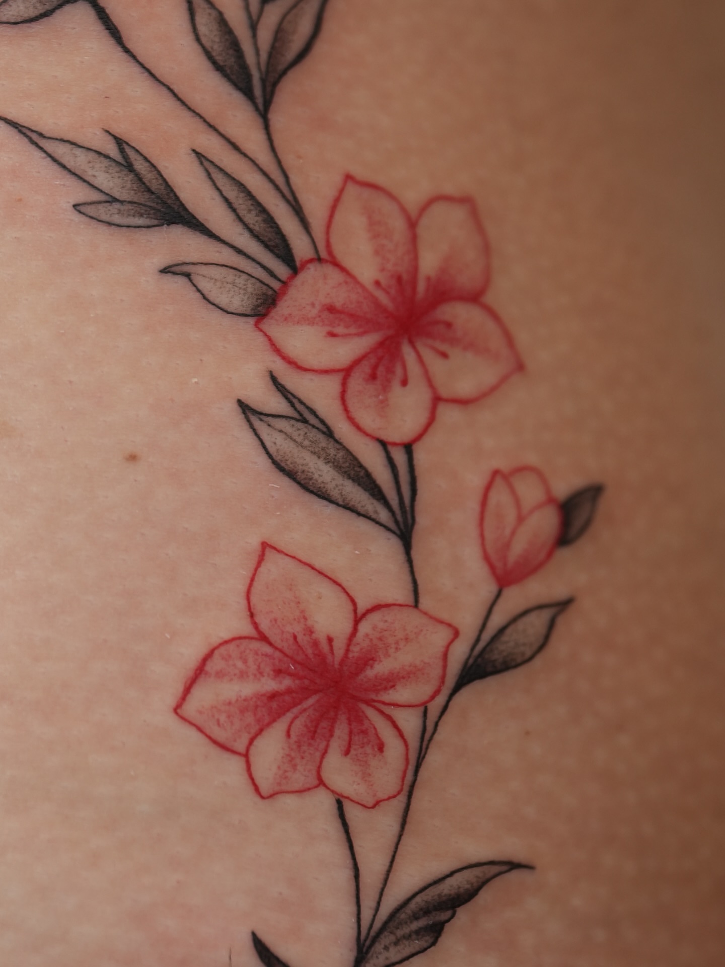 Flowers dotwork tattoo on the shoulder by Kevin Betancourt