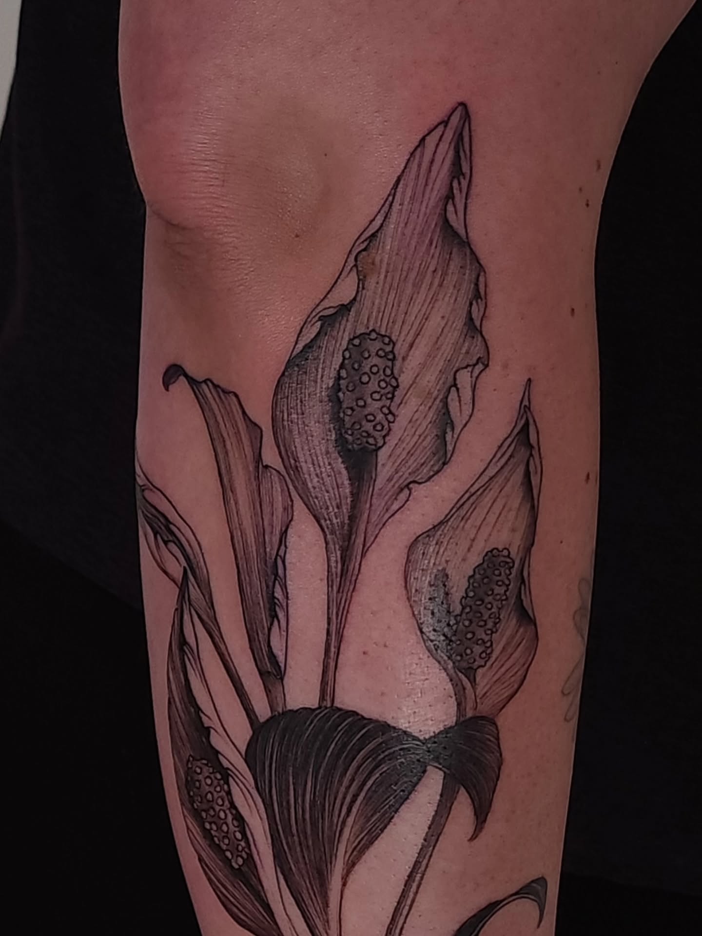Calla lilies black and grey tattoo on the forearm by ๐ฏ๐๐๐๐ ๐ท๐๐๐๐