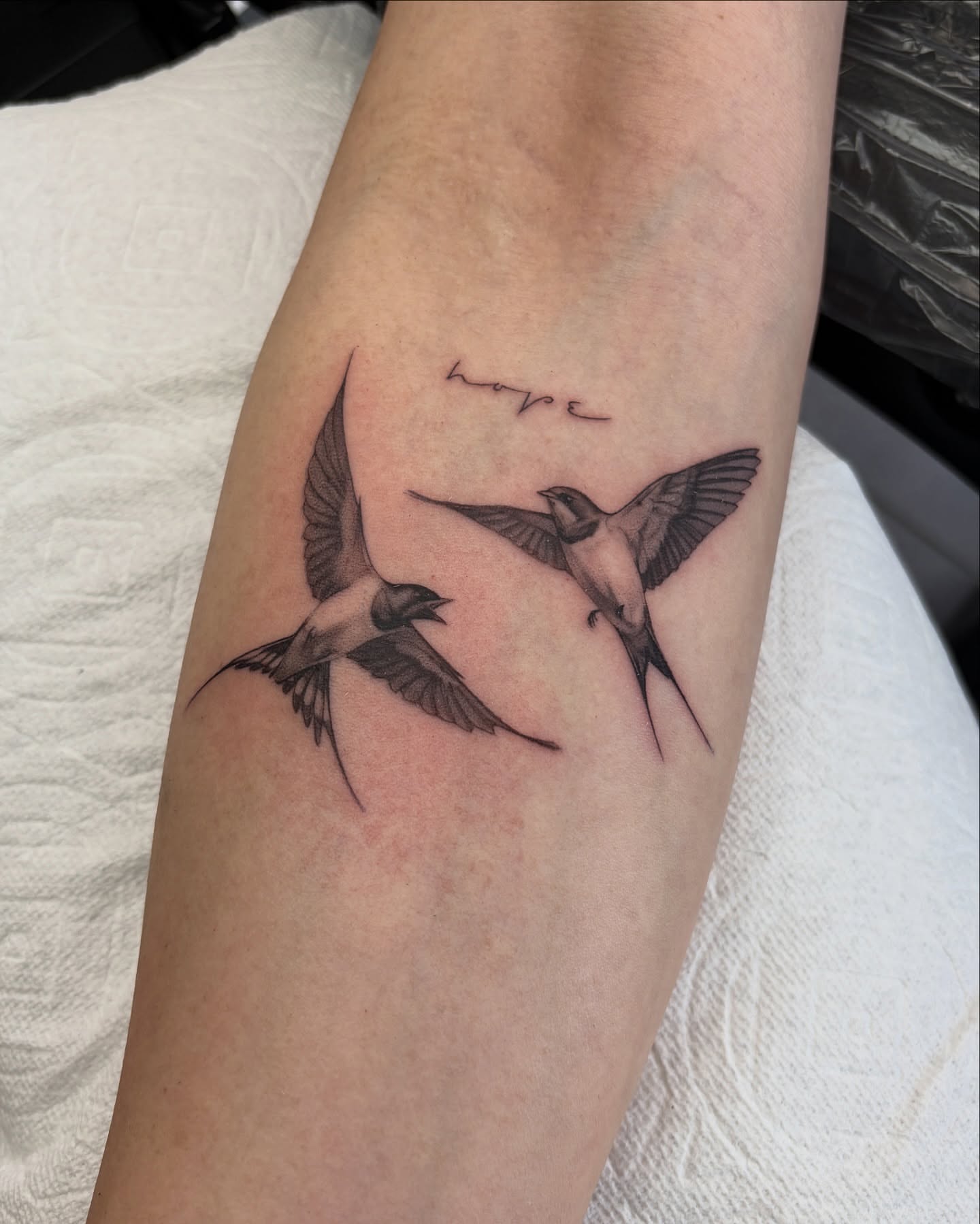 Swallows black and grey tattoo on the forearm by Kid Needle