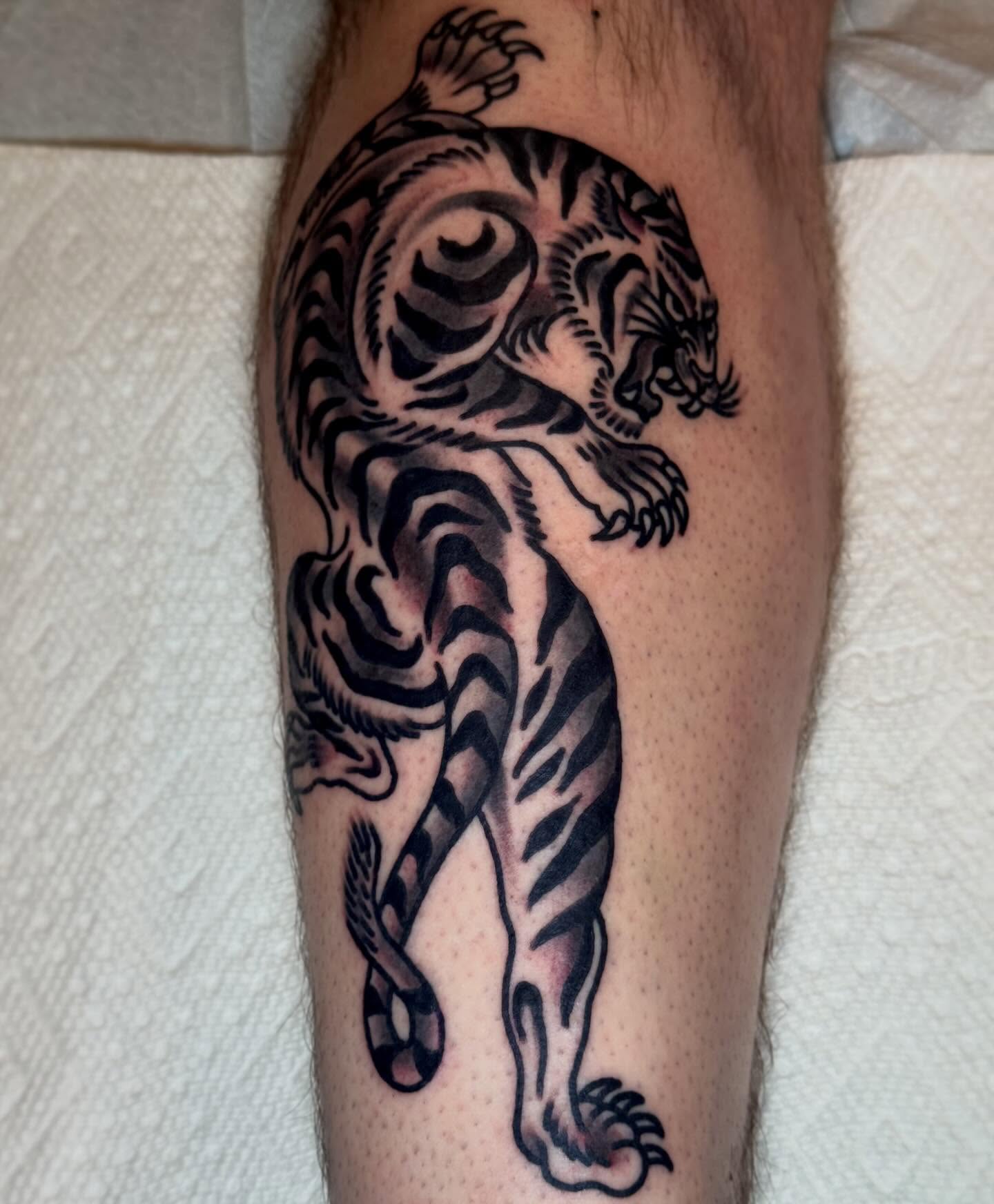 Tiger black and grey tattoo on the leg by Eli Bernal