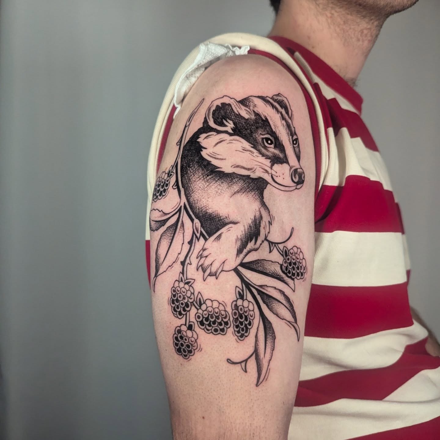 Badger black and grey tattoo on the upper arm by Courtney Yaddof