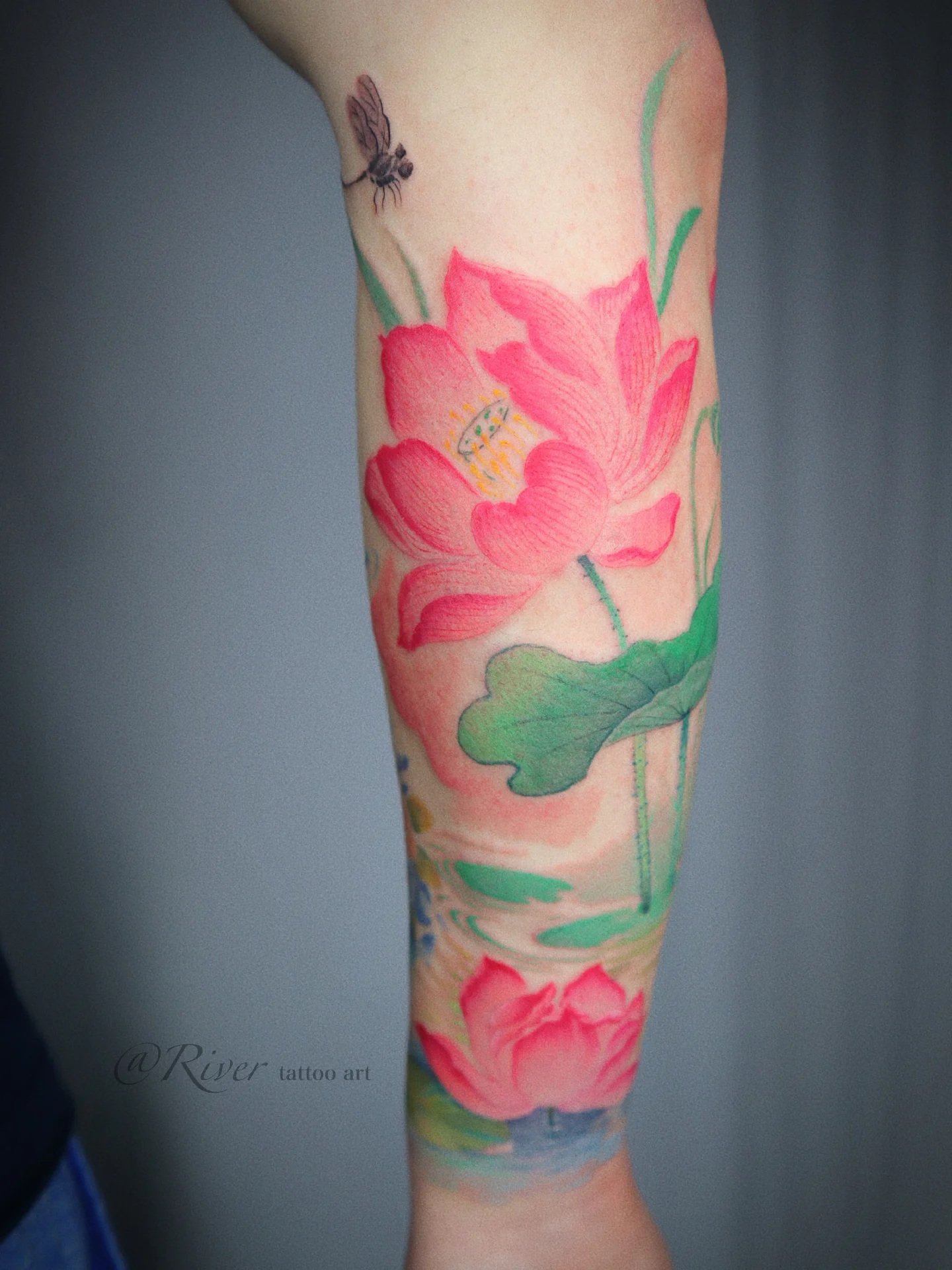 Lotus flower watercolor tattoo on the forearm by River