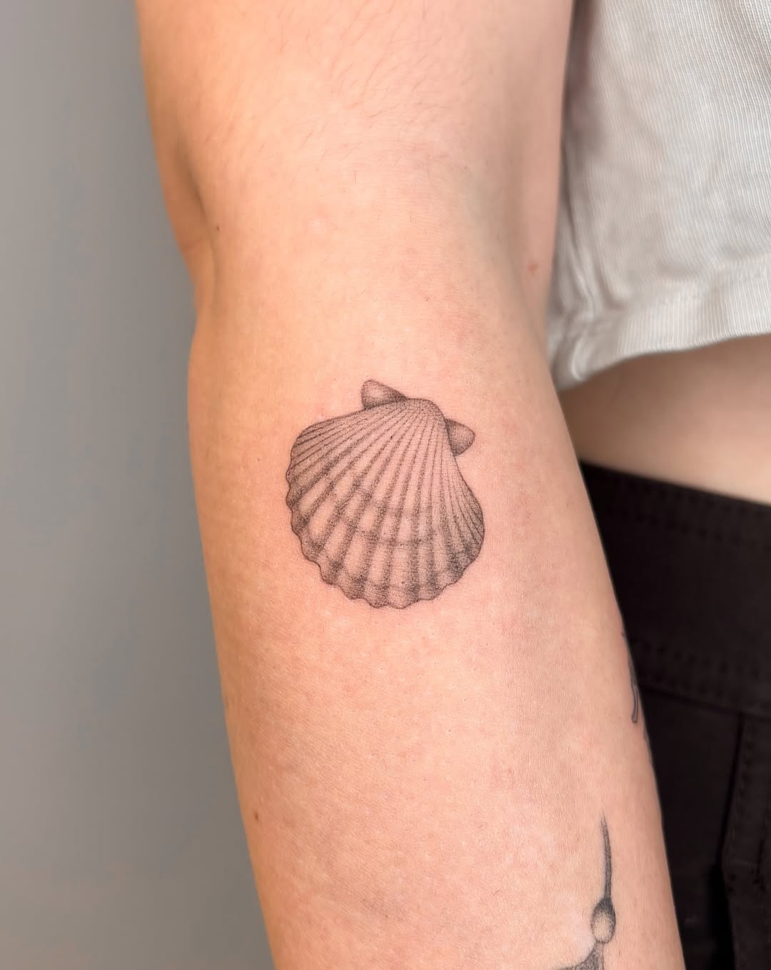 Tattoo by @manuel.dinstruction — dotwork, fine_line