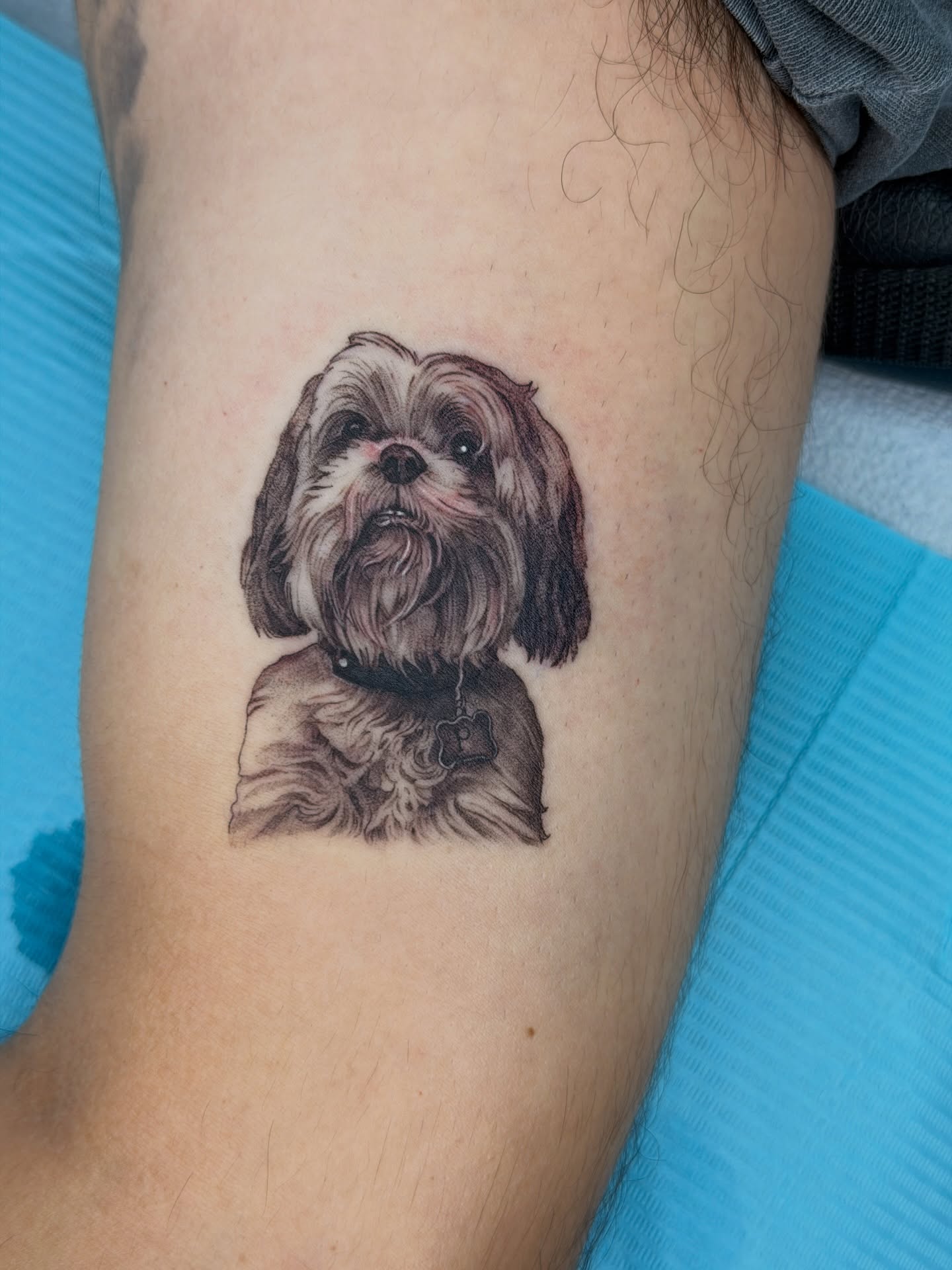 Dog realism tattoo on the forearm by Melissa Rose Moya