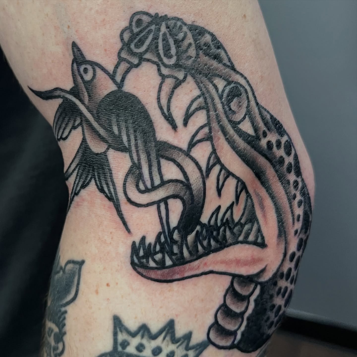 Bird and snake American traditional tattoo on the forearm by You’ll save me in your phone as Tattoo Tim