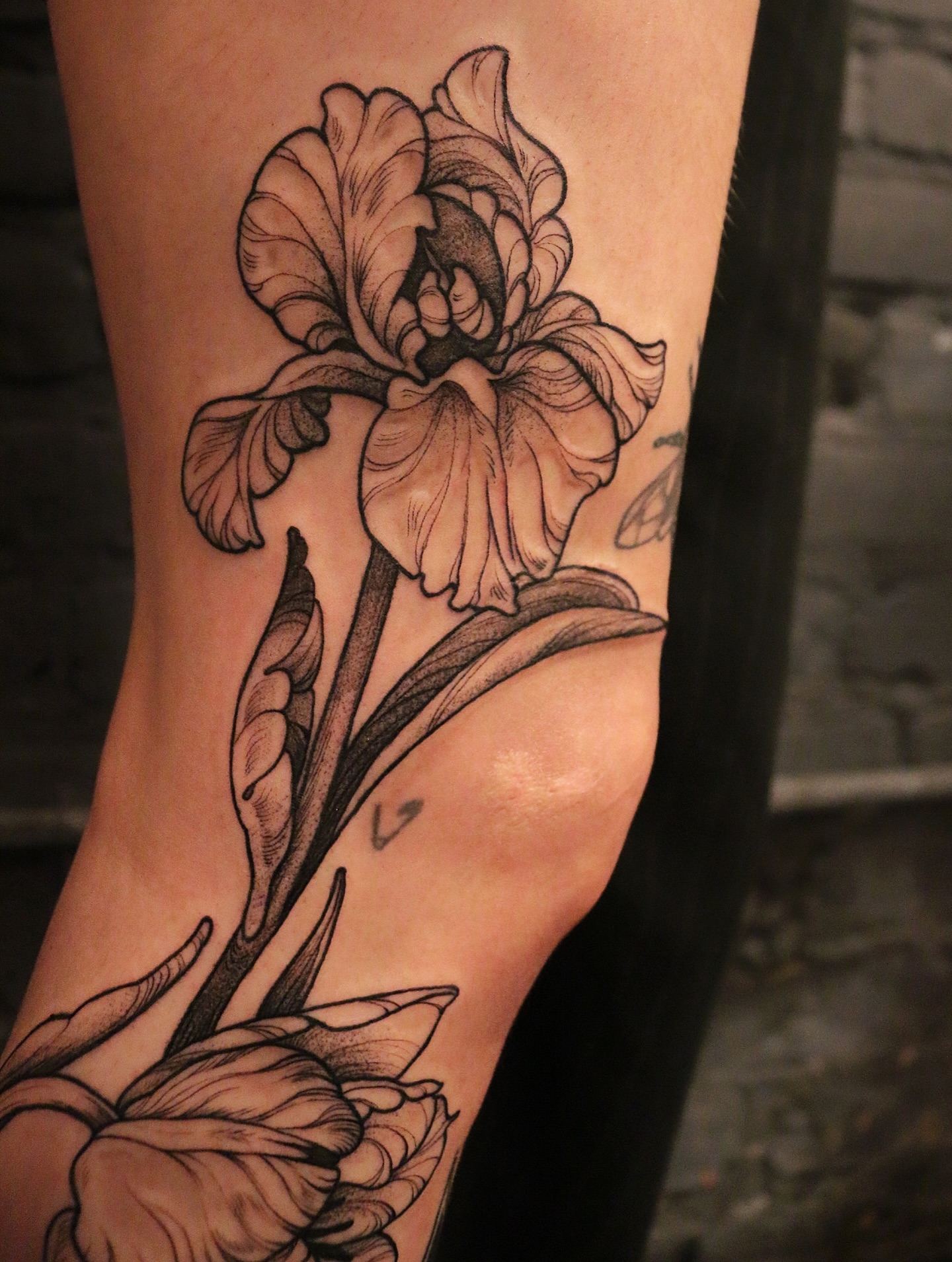 Iris black and grey tattoo on the forearm by Summer Balcom M.