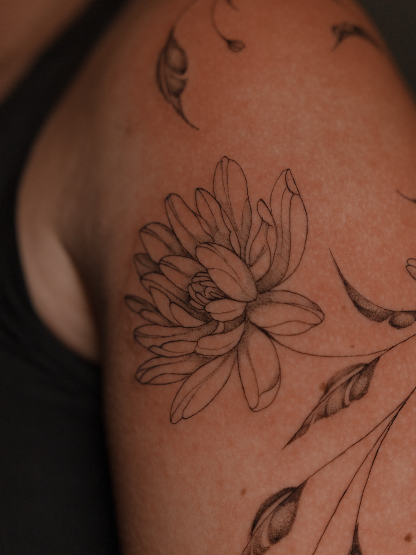 Chrysanthemum black and grey tattoo on the shoulder by Jen- San Antonio tattoo artist