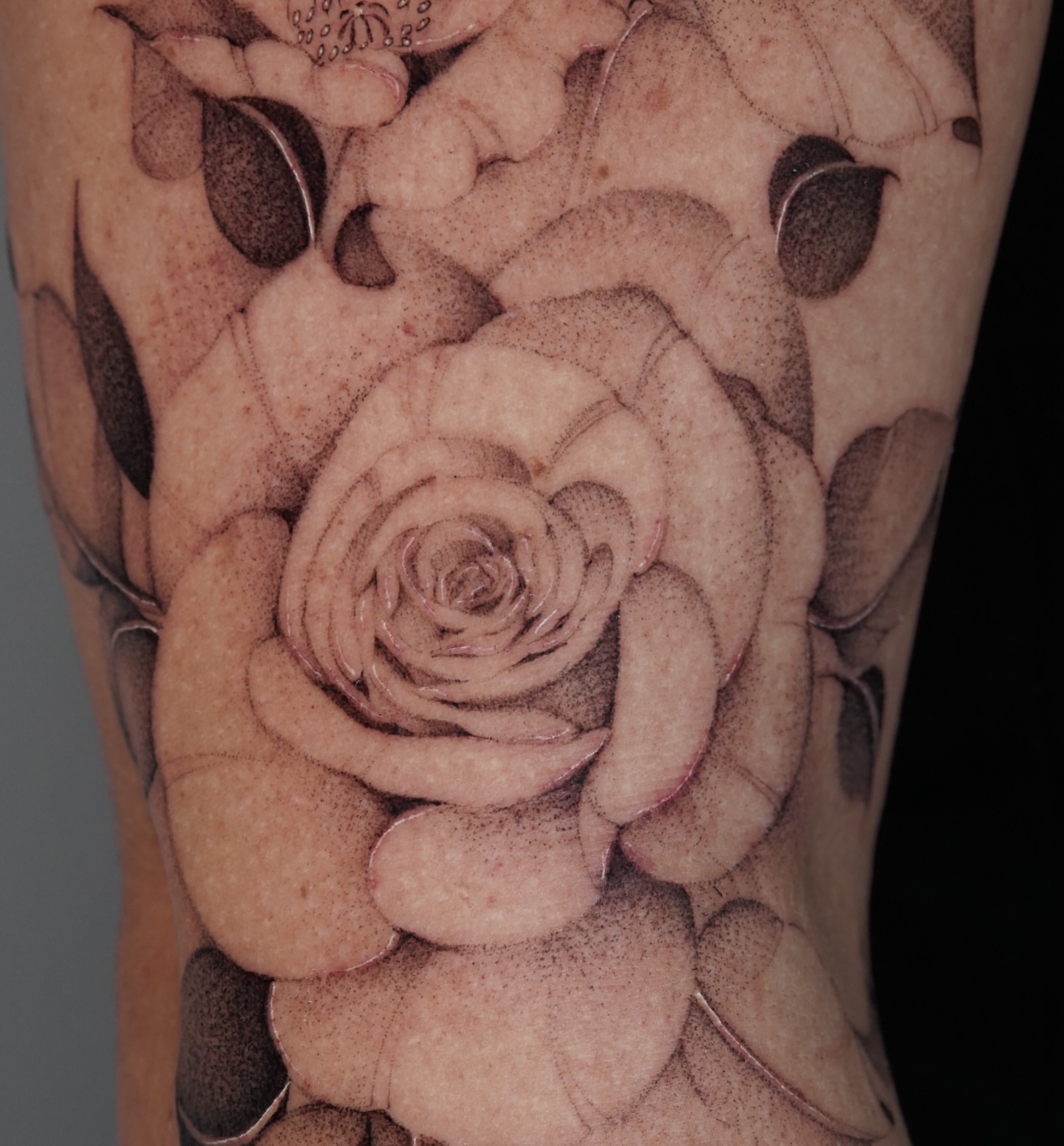 Rose dotwork tattoo on the forearm by Bel Fernandez