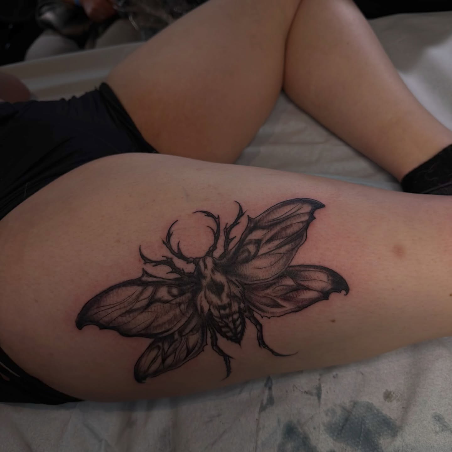 Moth realism tattoo on the thigh by Nina Nichole