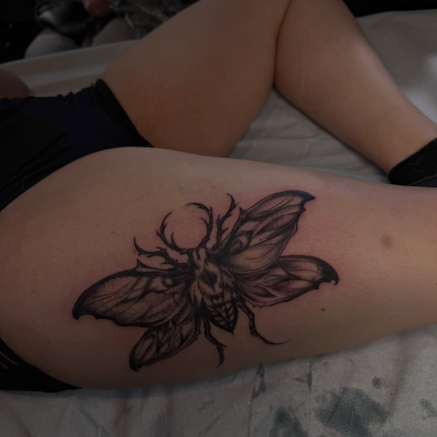 Moth realism tattoo on the thigh by Nina Nichole