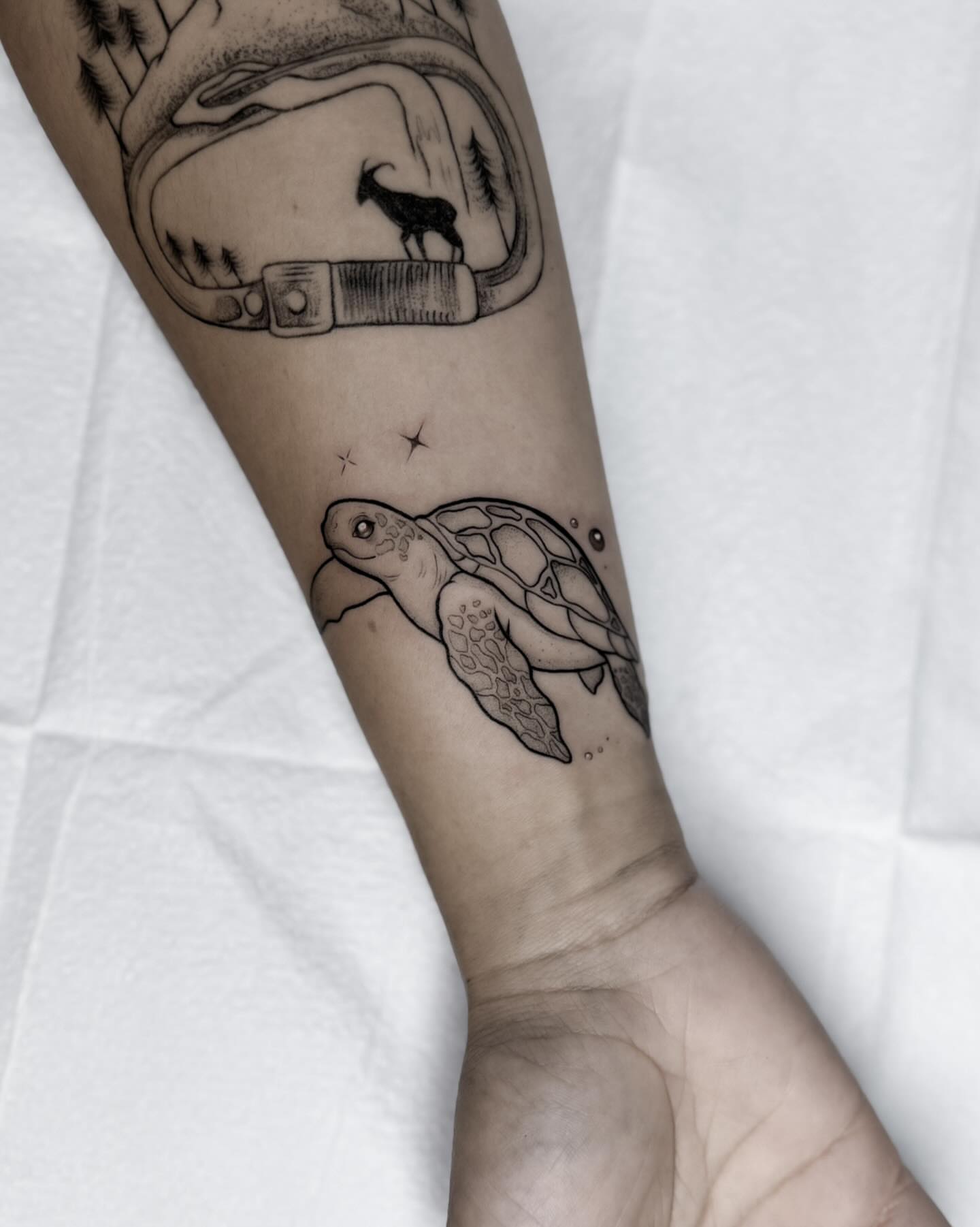 Turtle black and grey tattoo on the forearm by Whimsical Tattoos