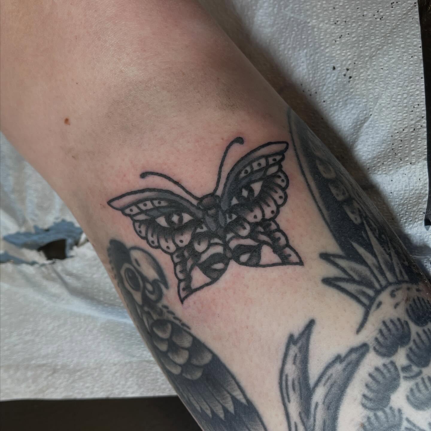 Butterfly black and grey tattoo on the forearm by madelynne (maddie) caldwell tattoos