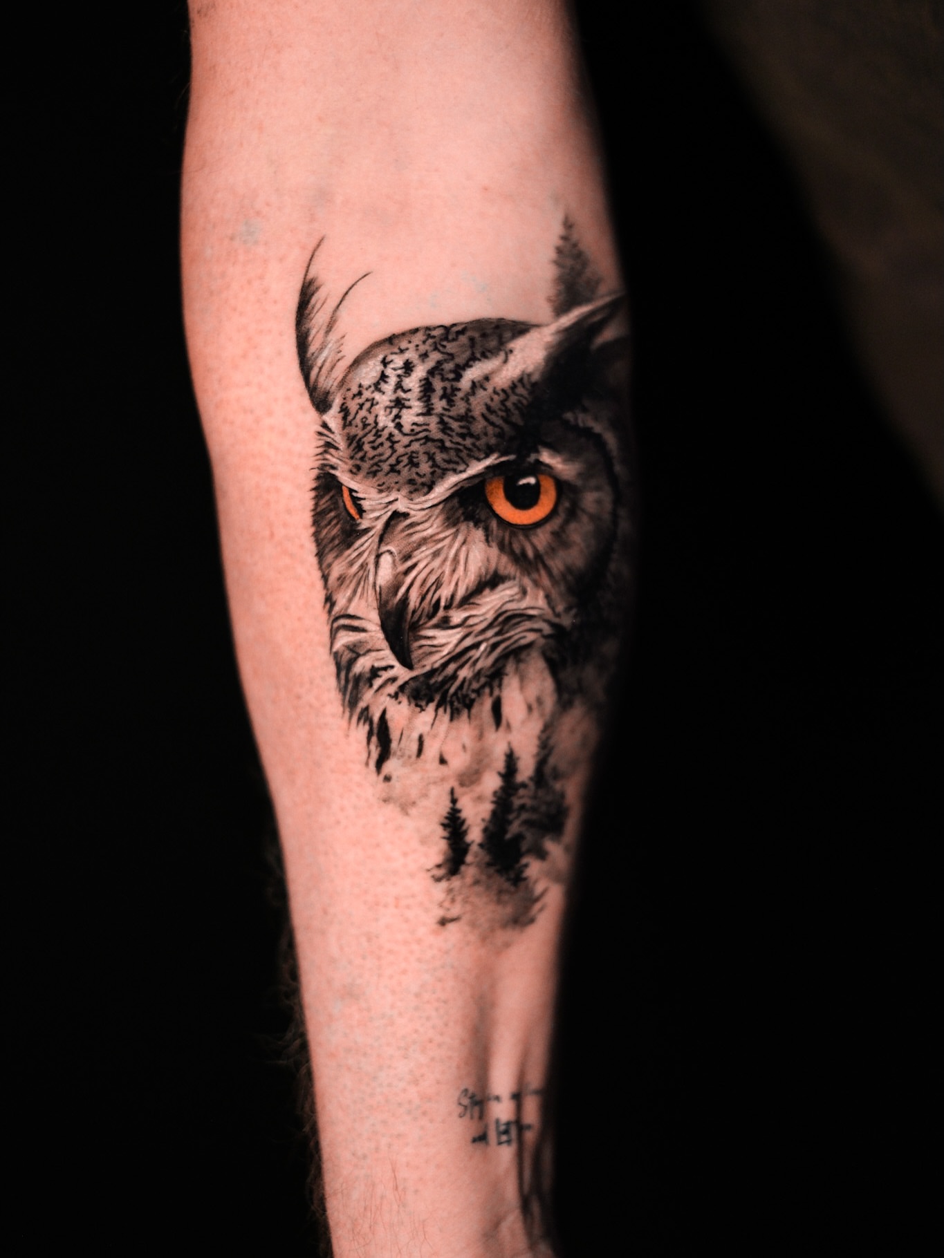 Tattoo by @stadnyque — realism, dark_realism
