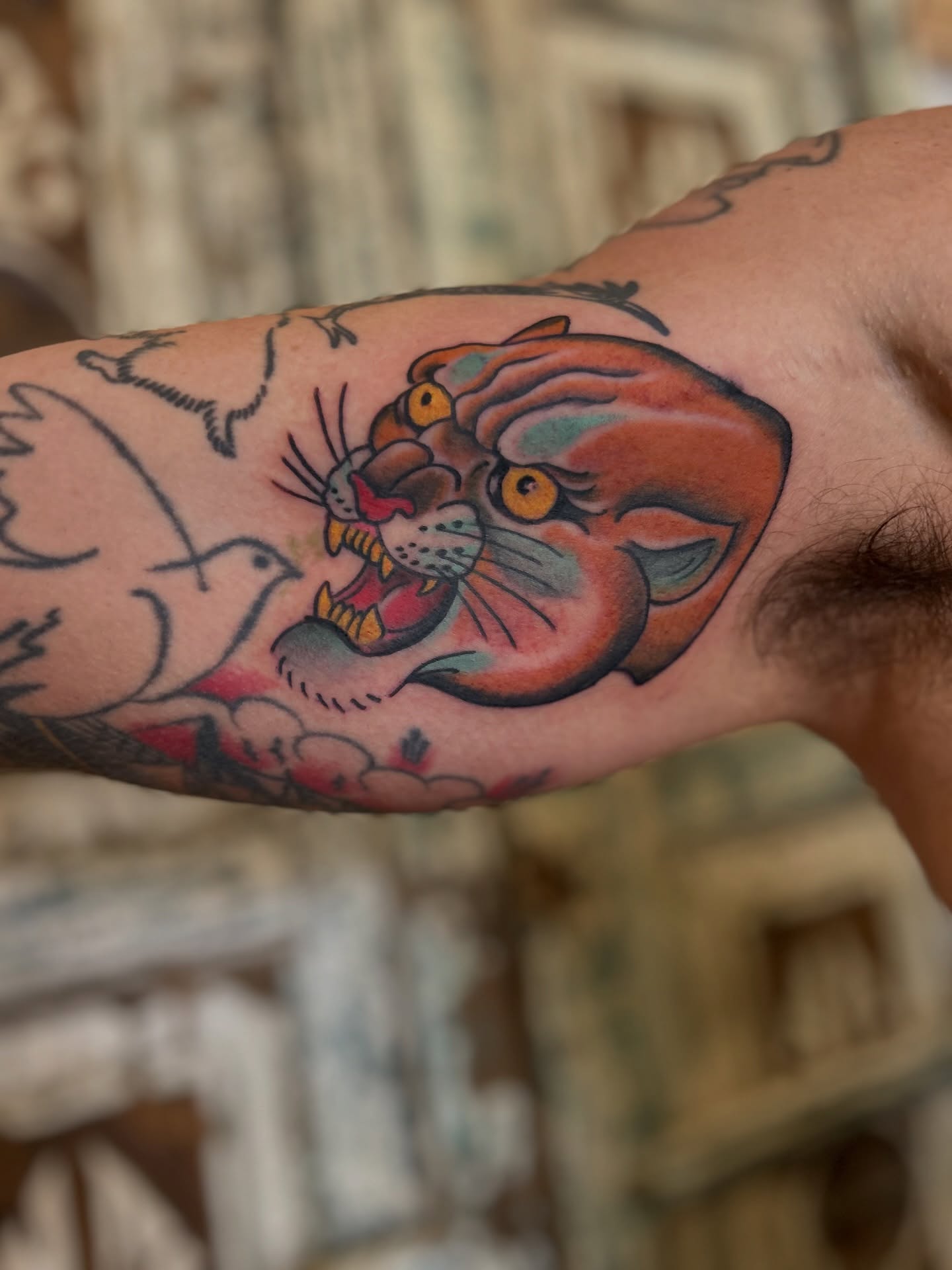 Panther American traditional tattoo on the forearm by Ryan Willard, Denver, Colorado