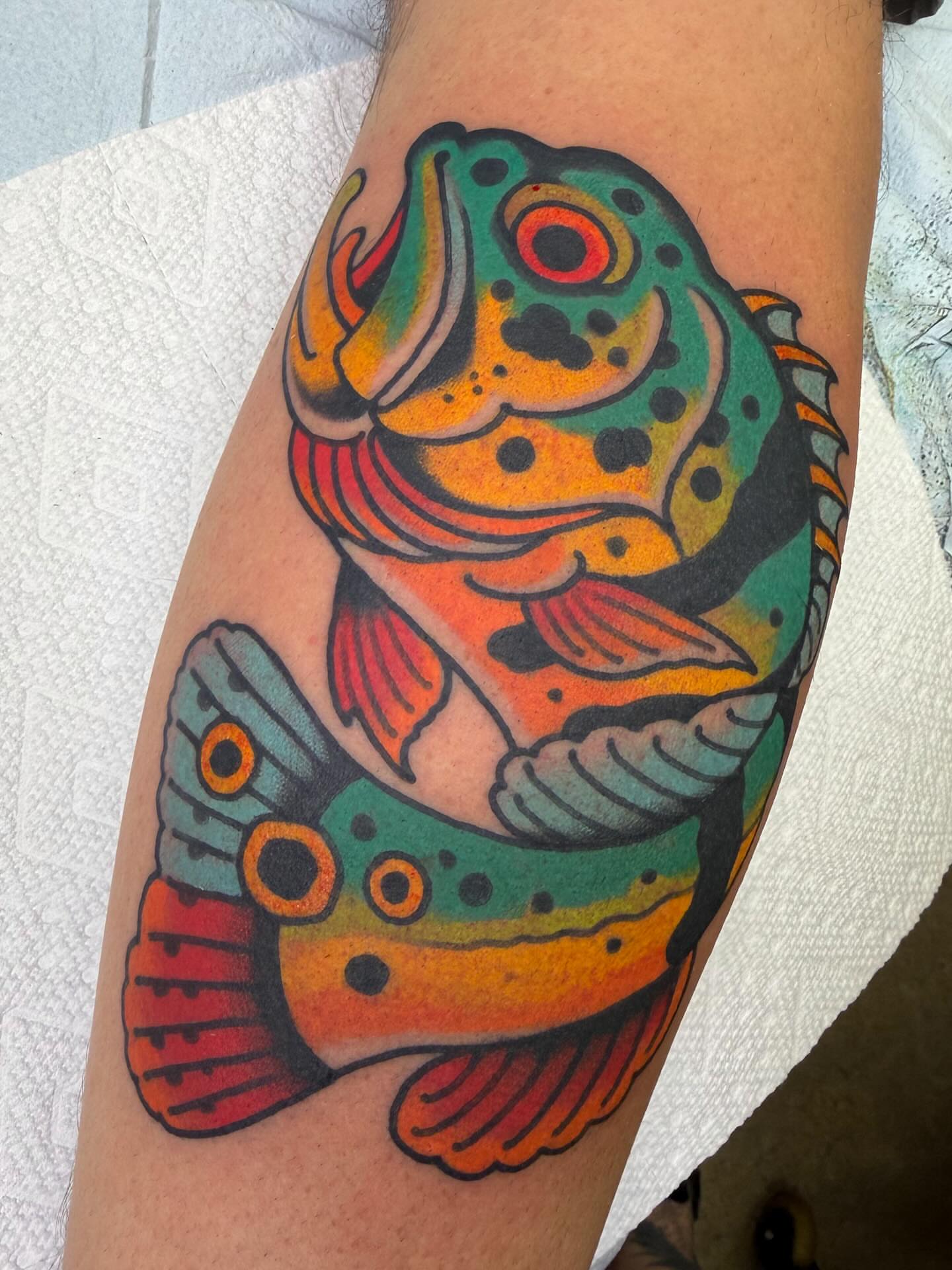 Rainbow trout American traditional tattoo on the forearm by Danny Reed, Asheville, North Carolina