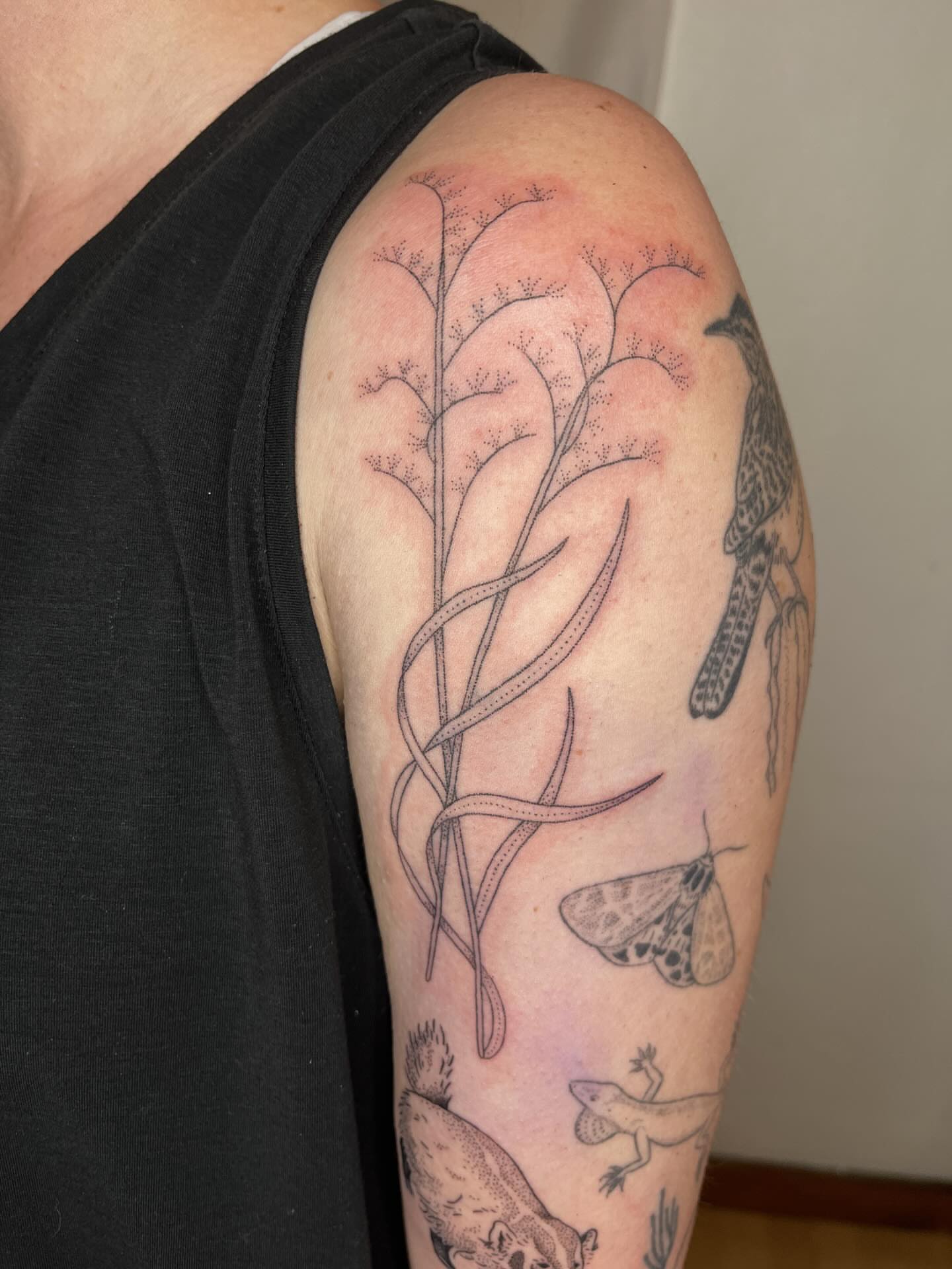 Plant and bird black and grey tattoo on the upper arm by natalie