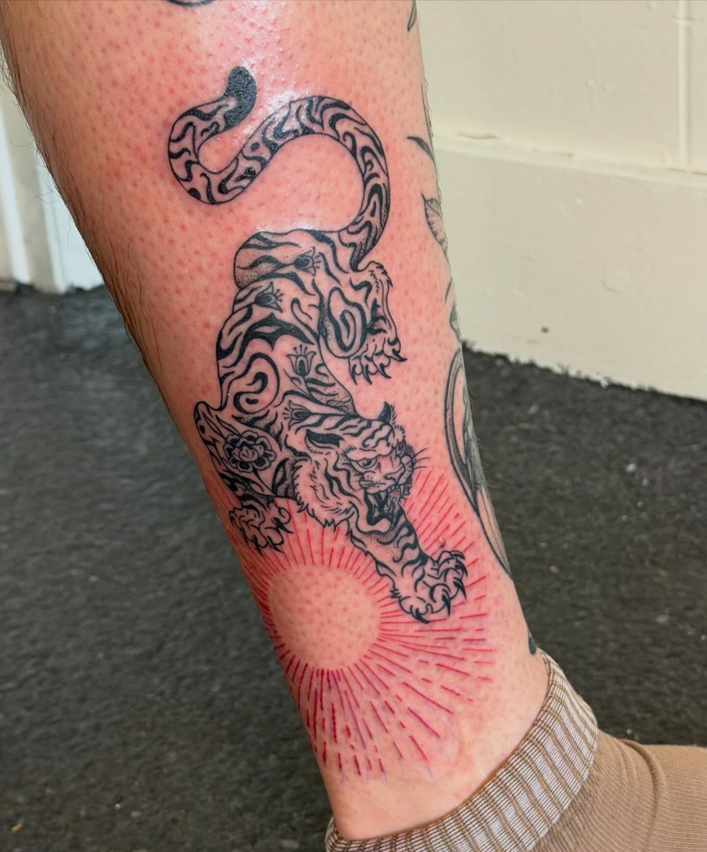 Tiger and snake American traditional tattoo on the forearm by Sophia, New Carlisle, Ohio