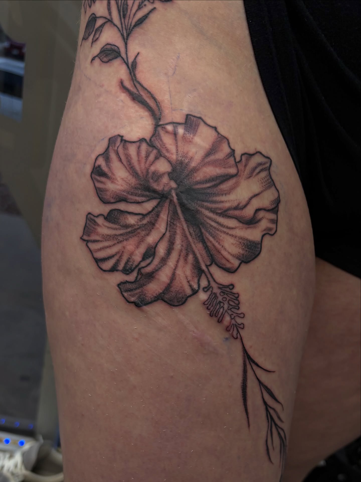Hibiscus flower dotwork tattoo on the thigh by Calen Copeland