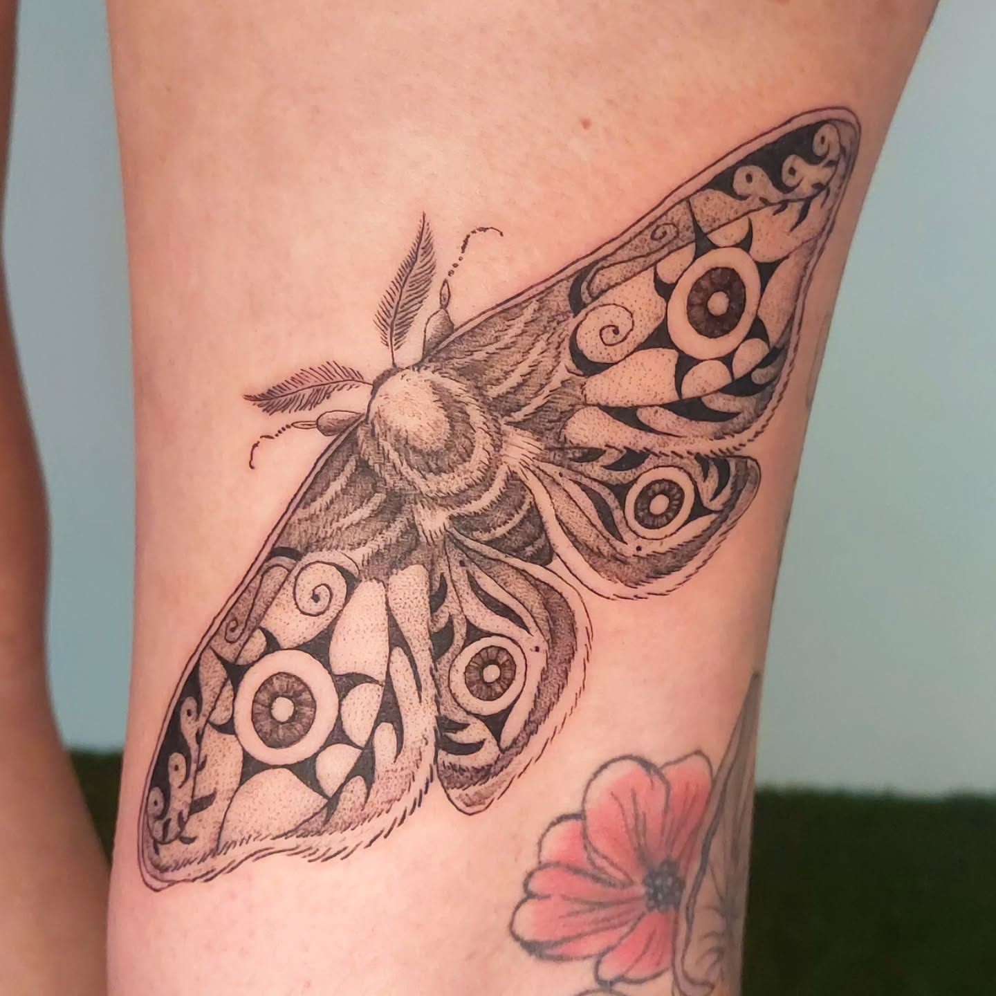 Tattoo by @lulus_tattoos_ — dotwork, ornamental