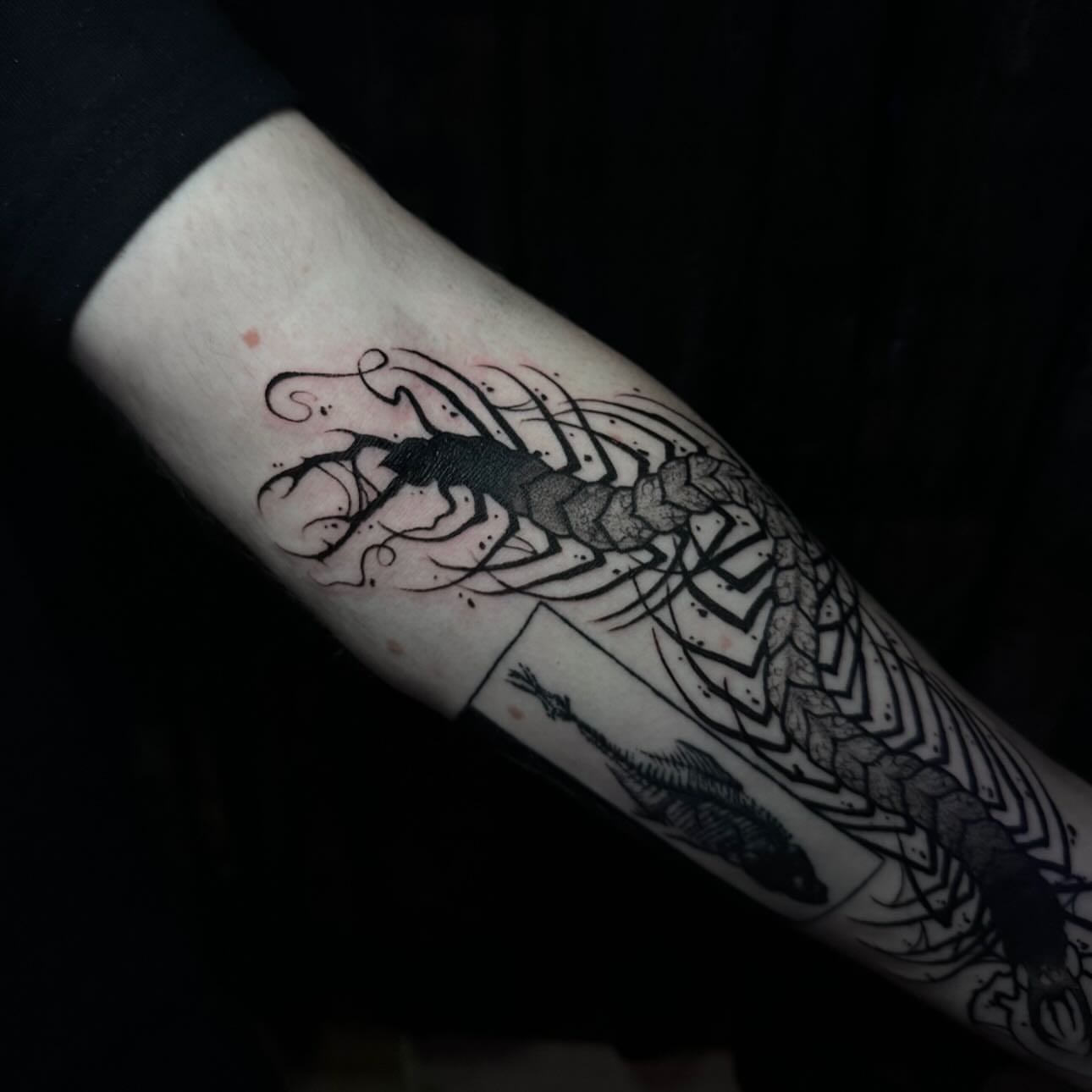 Tattoo by @quail.tattoos — black_and_grey