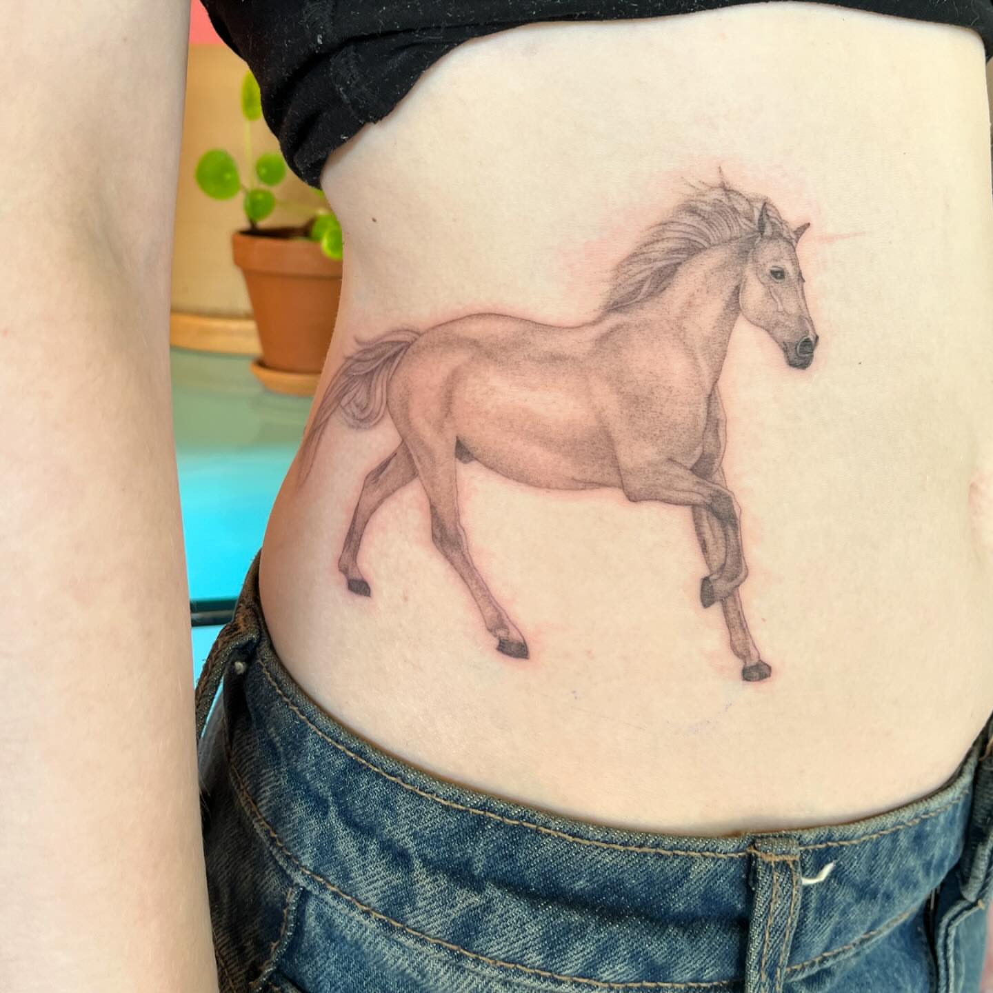 Horse realism tattoo on the ribs by 🌼DaisyDaiz🕸️