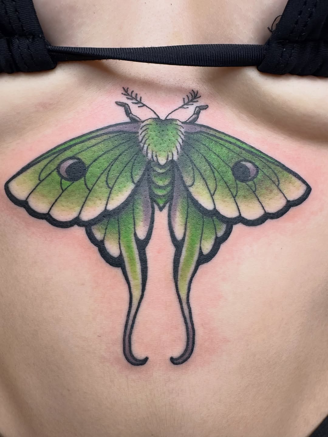 Tattoo by @midwestrick_ht — neo_traditional