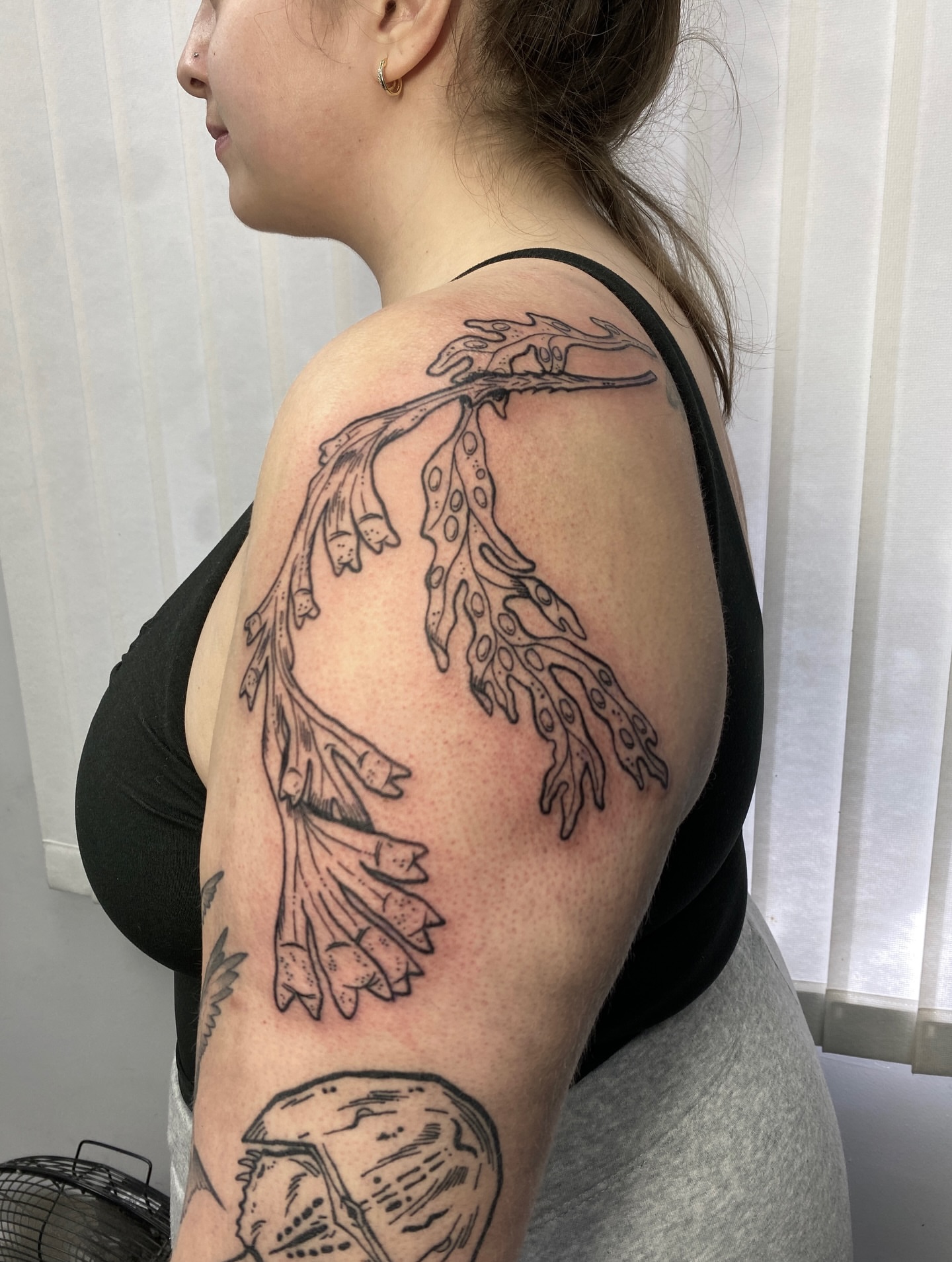 Seaweed black and grey tattoo on the shoulder by Mike Gorman - Portland Maine Tattoo Artist, Portland, Maine