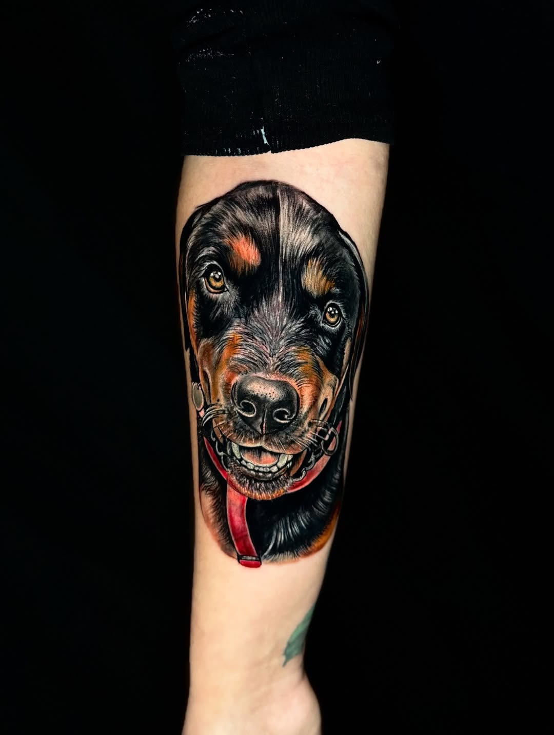 Rottweiler dog portrait realism tattoo on the forearm by Georgianna Ink, Las Vegas, Nevada