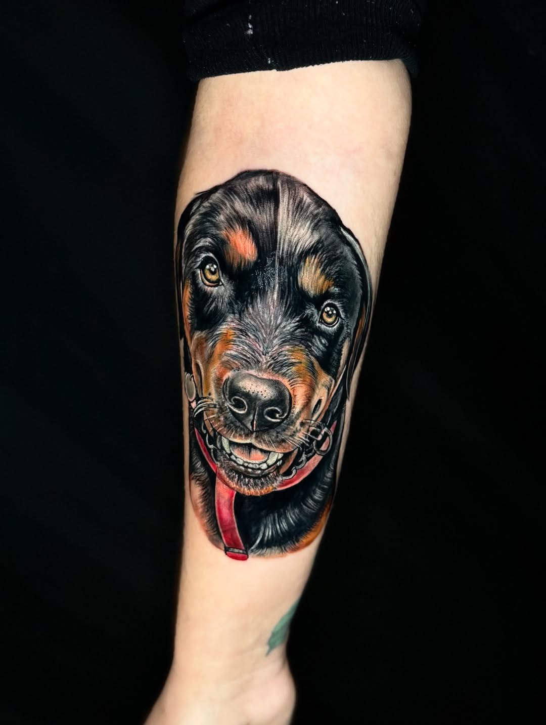 Dog portrait realism tattoo on the forearm by Georgianna Ink, Las Vegas, Nevada