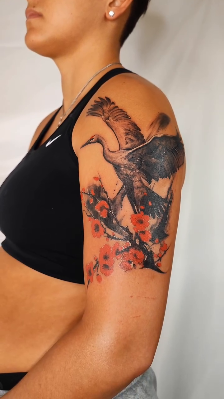 Cranes and cherry blossoms japanese irezumi tattoo by 𝗔𝗟𝗘𝗫 𝗣𝗥𝗘𝗤𝗨𝗘𝗟 𝗧𝗔𝗧𝗧𝗢𝗢𝗦 𝗖𝗛𝗜𝗖𝗔𝗚𝗢 ™, Chicago, Illinois