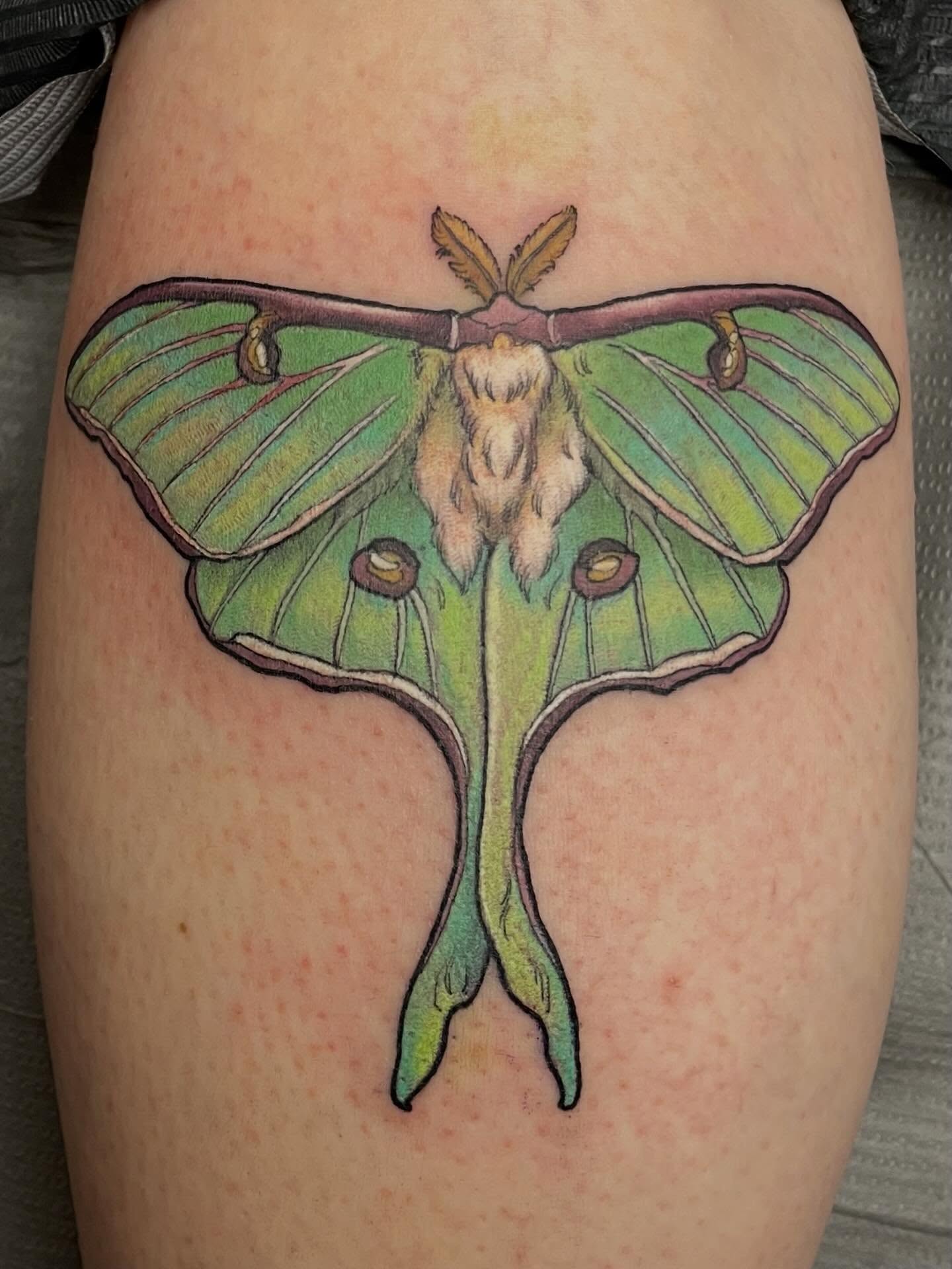 Tattoo by @pare_elyse — realism