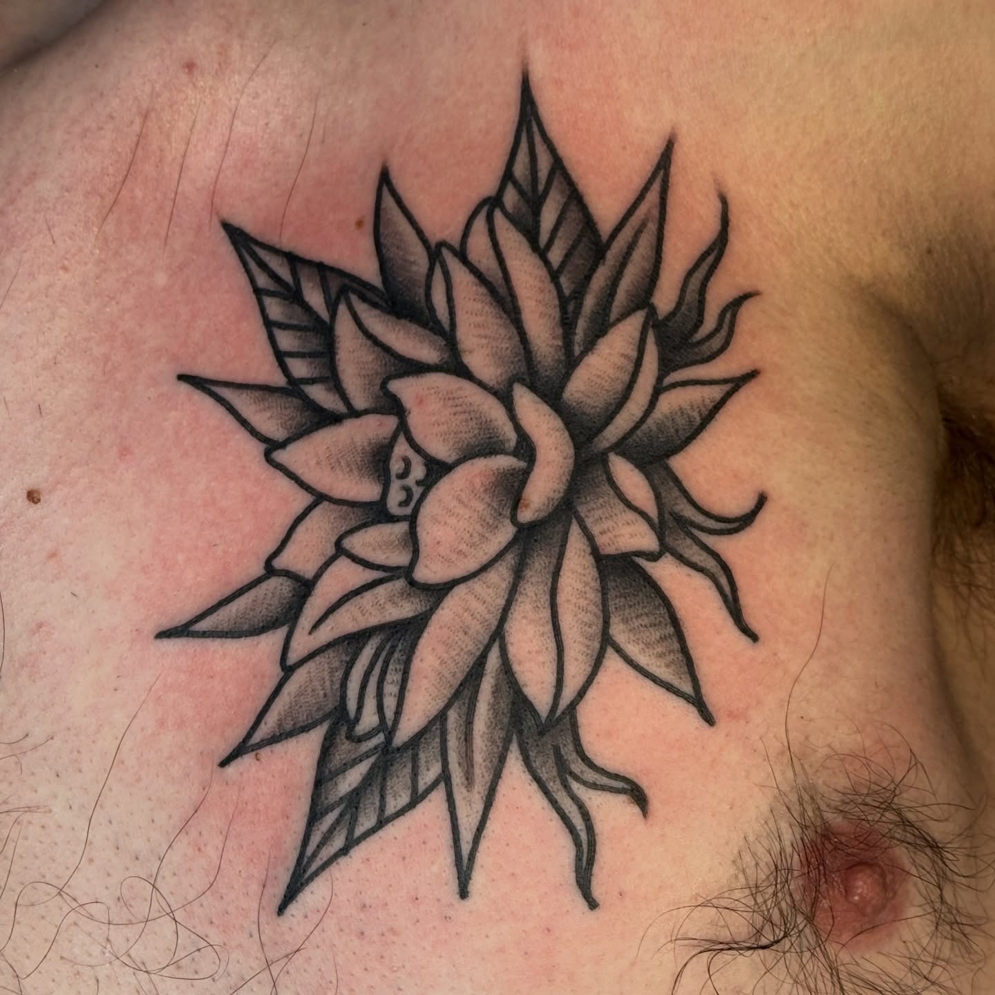 Flower black and grey tattoo on the chest by Traddy Maddie ๐
