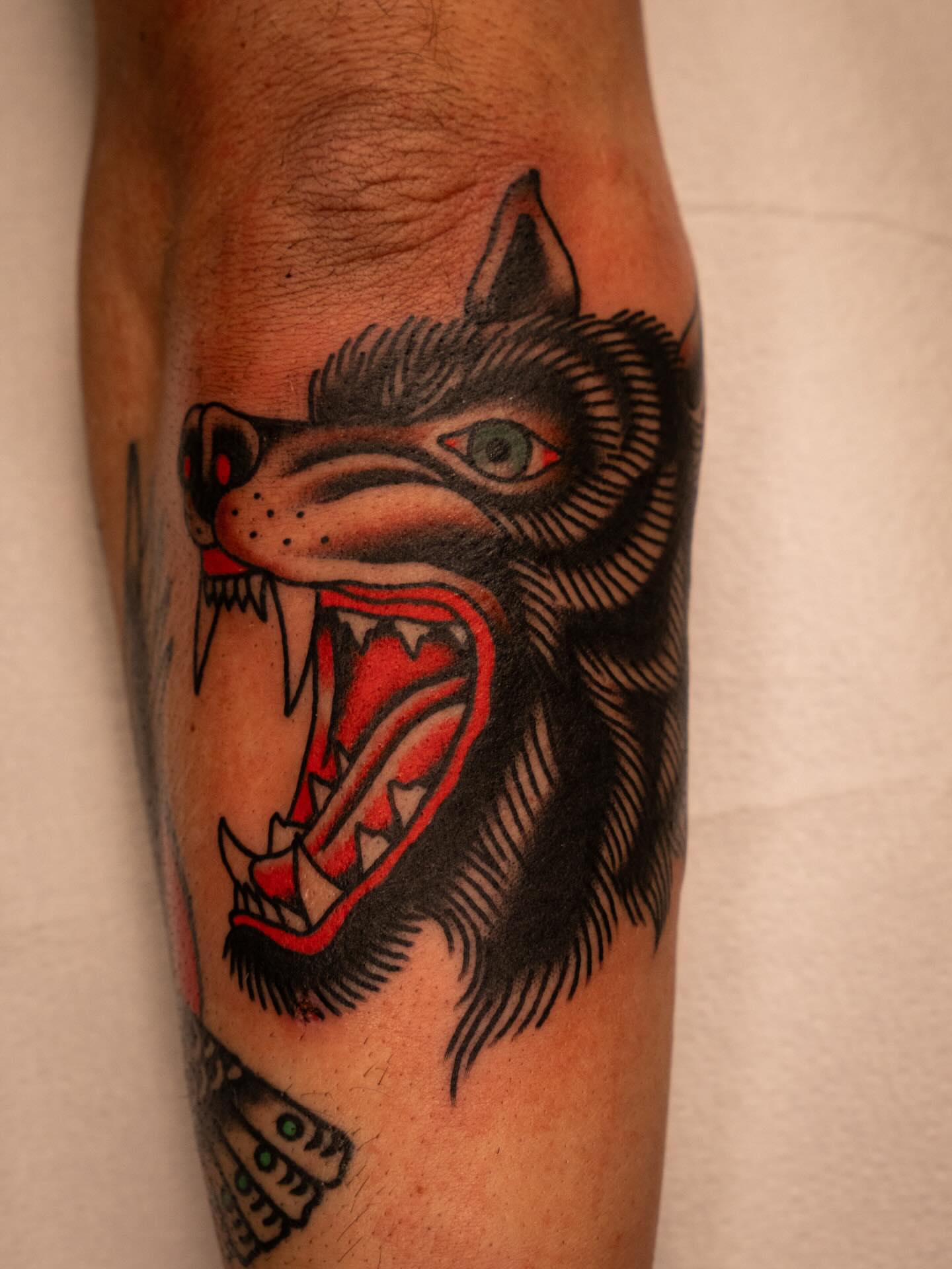 Wolf American traditional tattoo on the forearm by Justin Rakowski