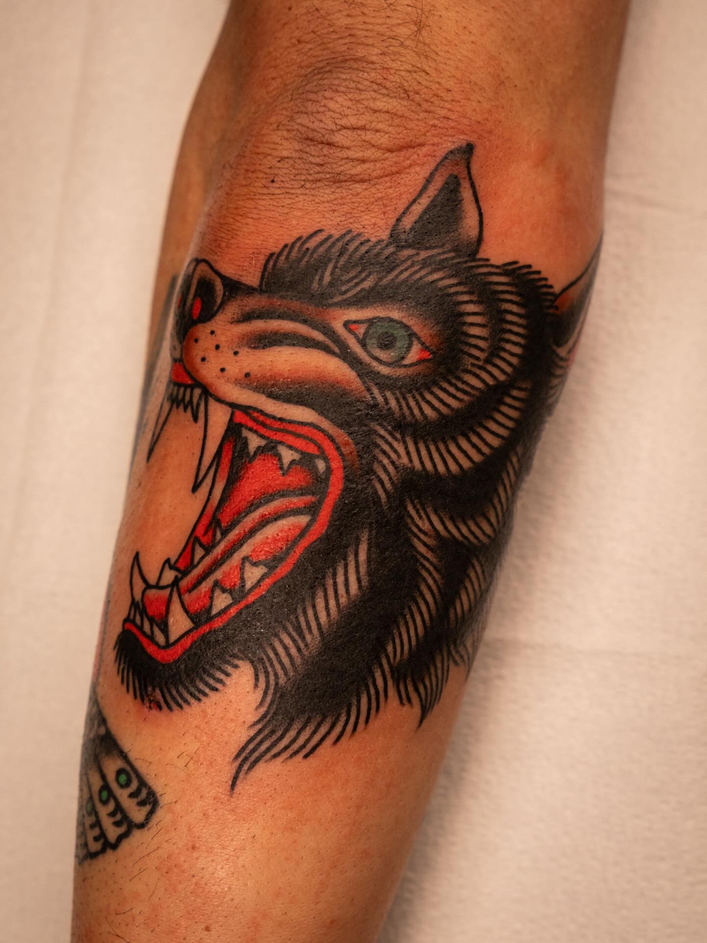 Wolf American traditional tattoo on the forearm by Justin Rakowski