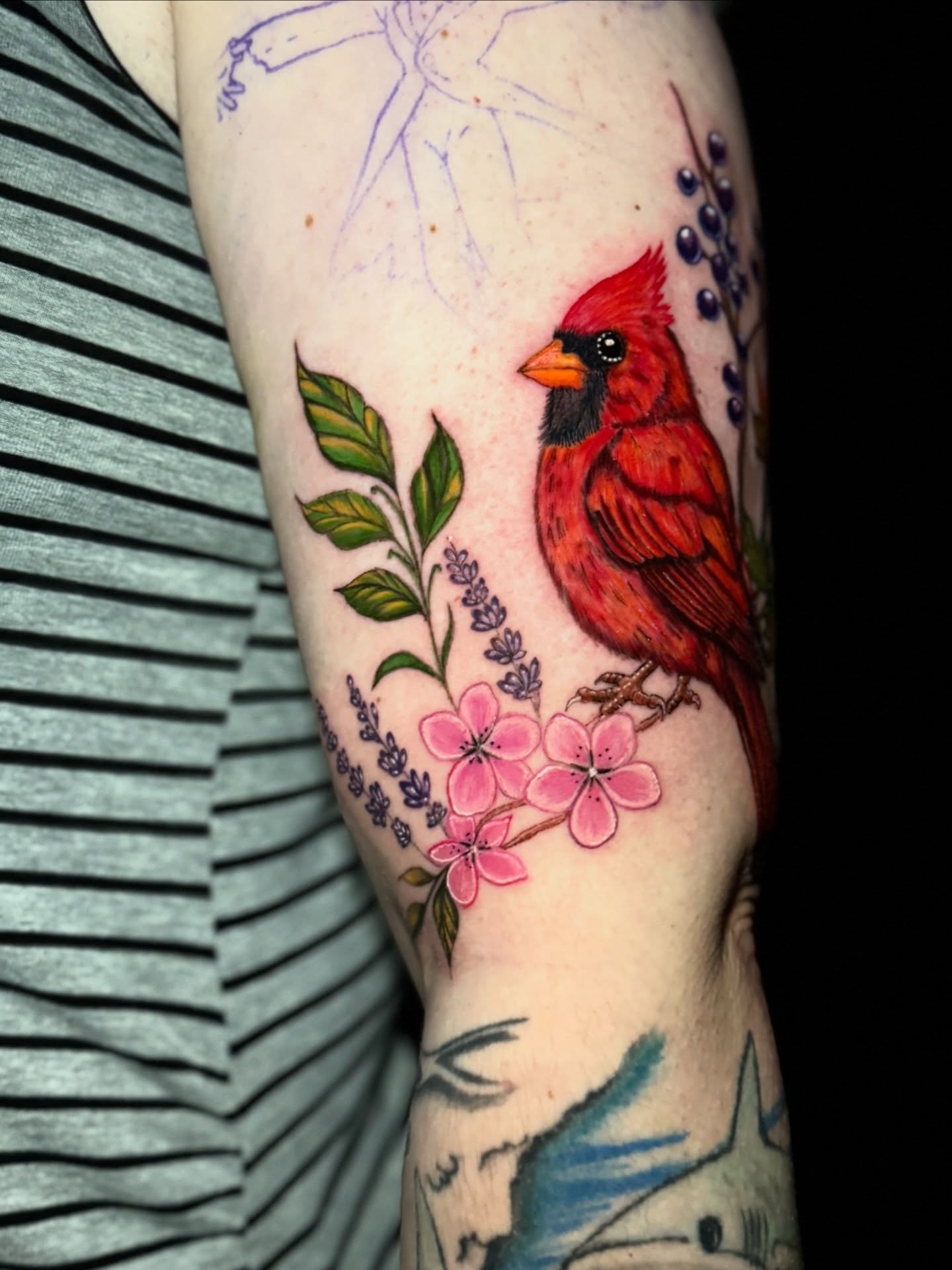 Cardinal bird realism tattoo on the forearm by Paola Pineda Tattoo, Knoxville, Tennessee