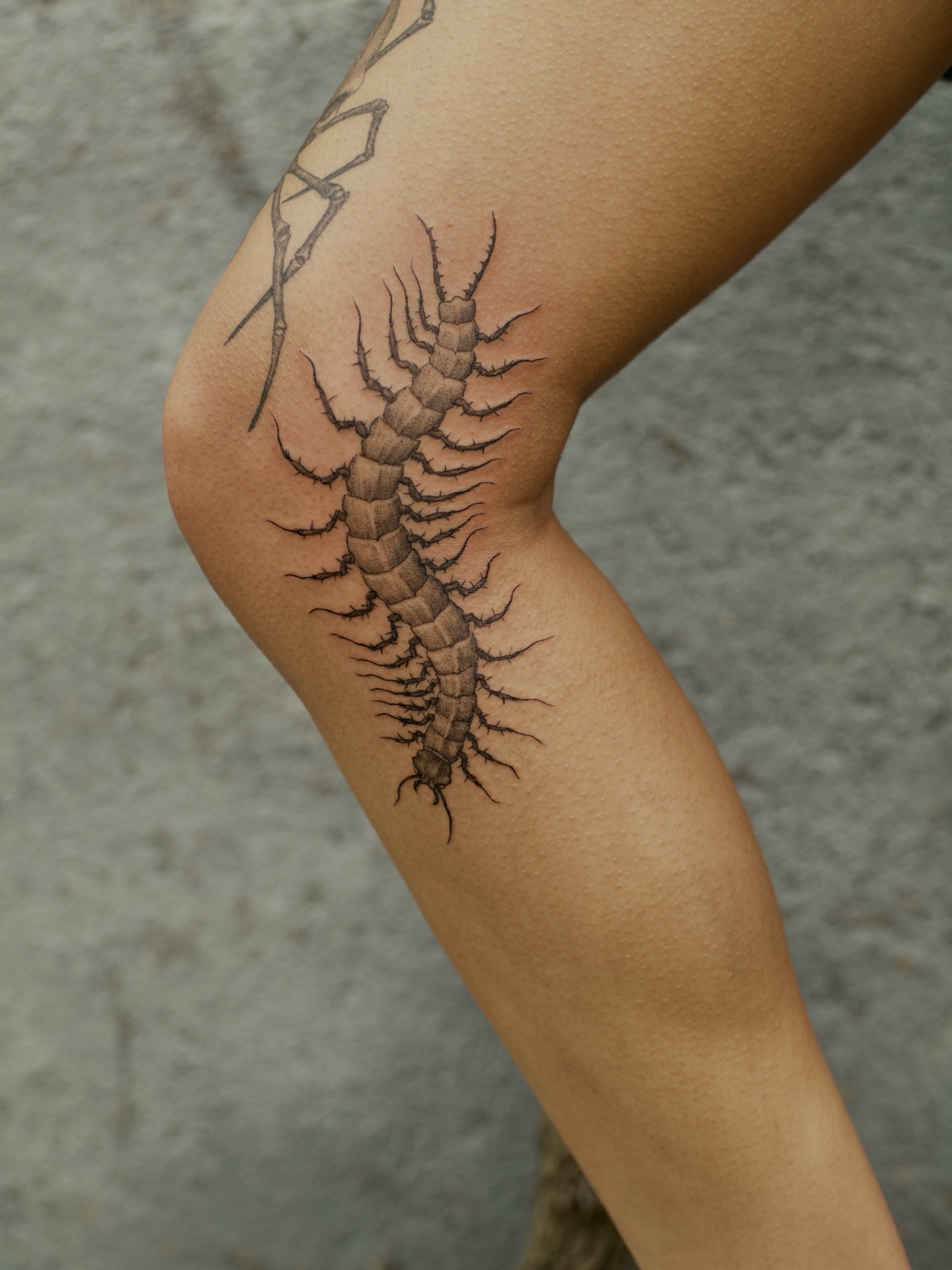 Centipede realism tattoo on the forearm by Kevin Rotramel, Dayton, Ohio