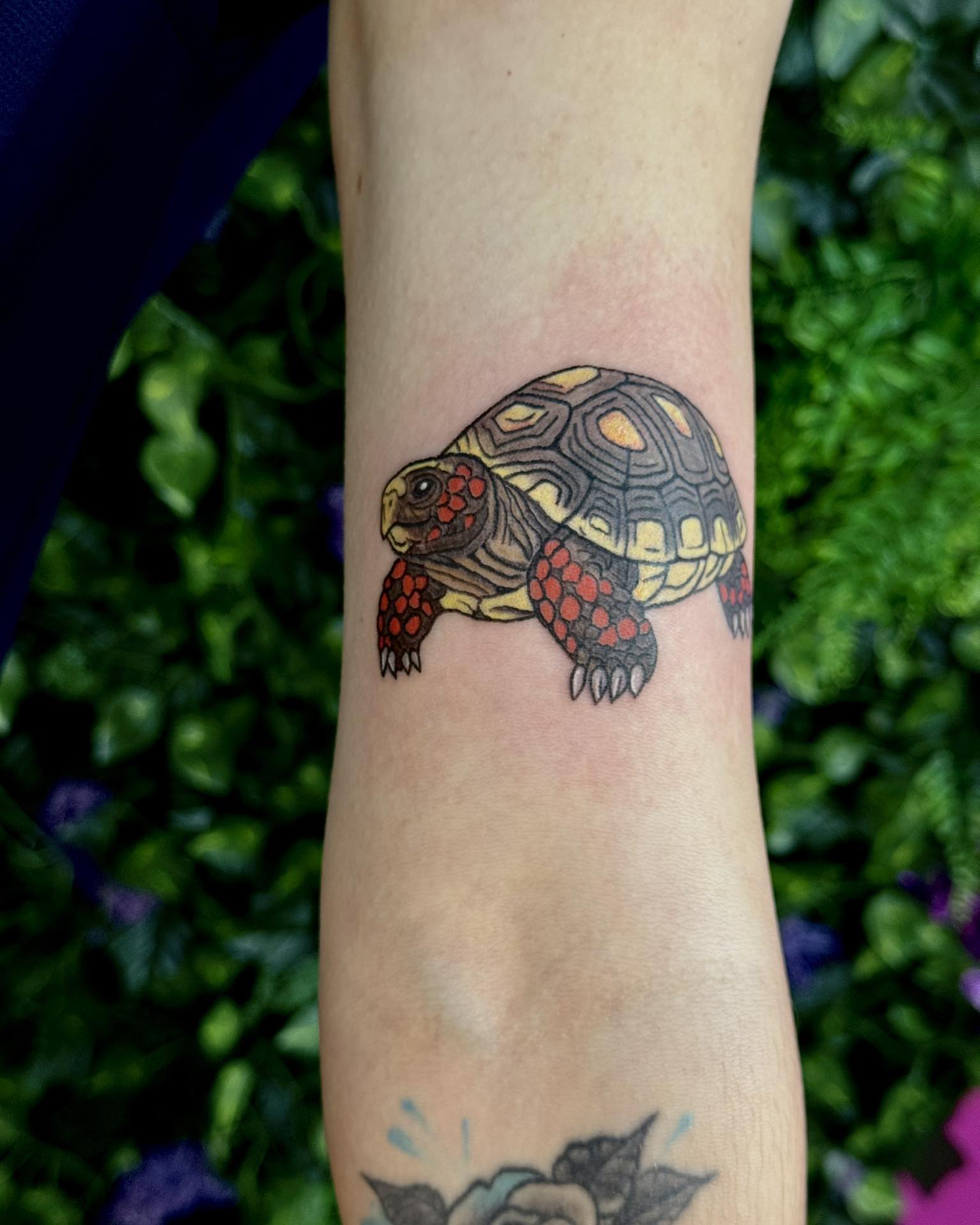 Turtle realism tattoo on the forearm by Sabrina