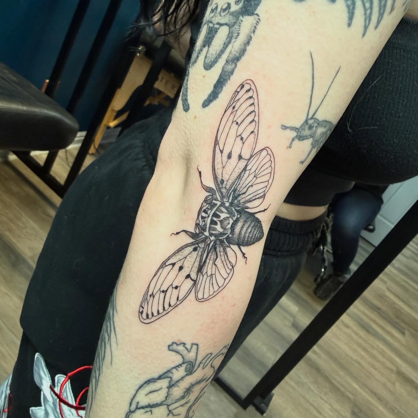 Insect black and grey tattoo on the forearm by Elena