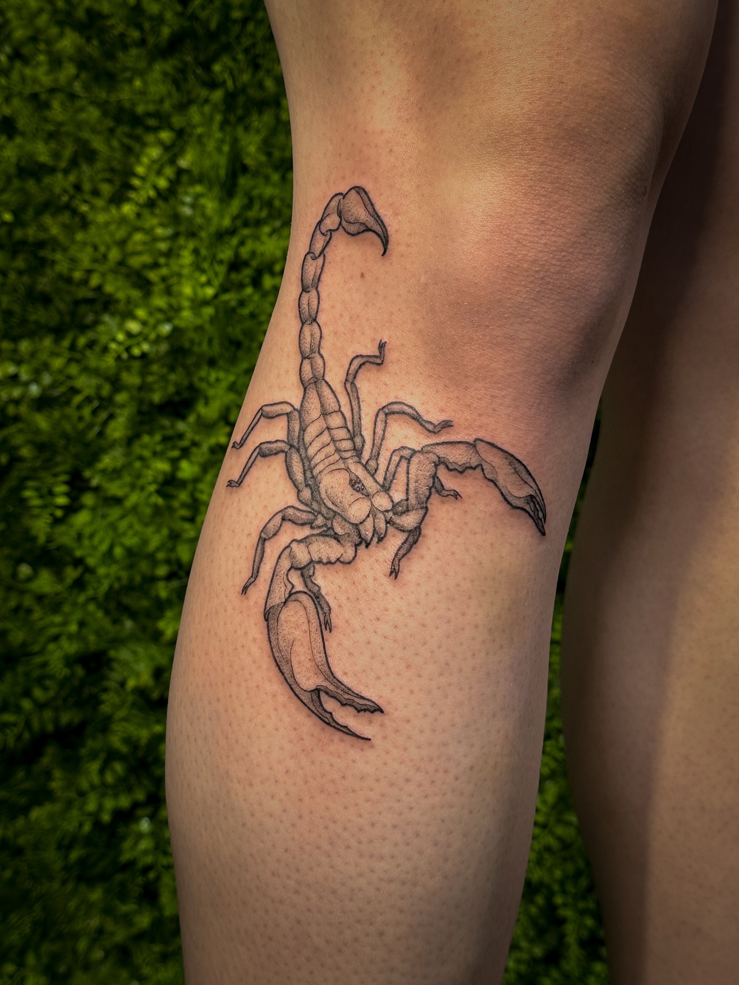 Scorpion dotwork tattoo on the leg by 𝑰𝒍𝒍𝒖𝒔𝒕𝒓𝒂𝒕𝒊𝒗𝒆 𝑵𝒂𝒕𝒖𝒓𝒆 𝑻𝒂𝒕𝒕𝒐𝒐 𝑨𝒓𝒕𝒊𝒔𝒕