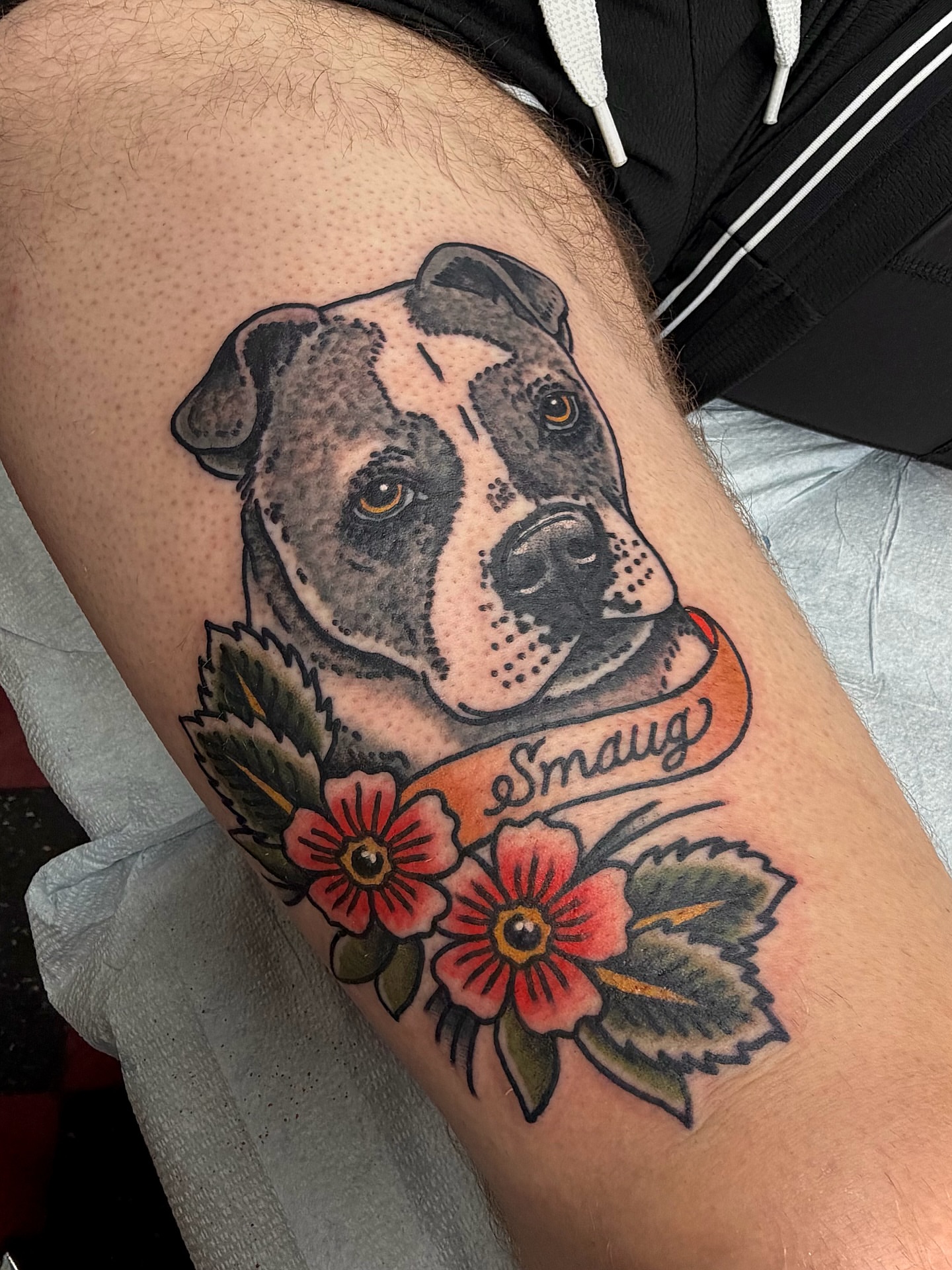 Pitbull with flowers American traditional tattoo on the thigh by Patrick Miller, Huber Heights, Ohio